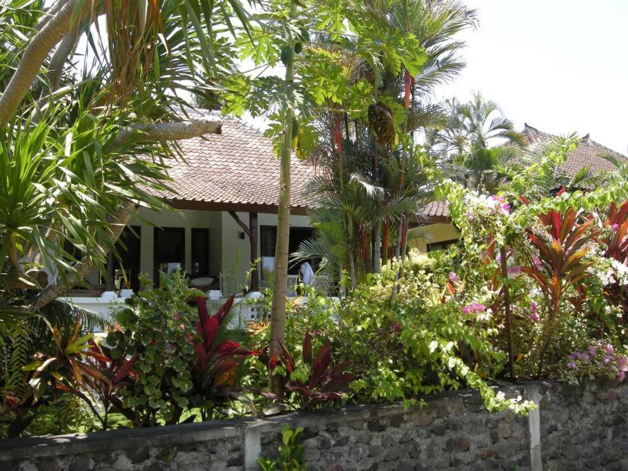 Villa Jasri Point - Beachfront Villa close to surf view 3