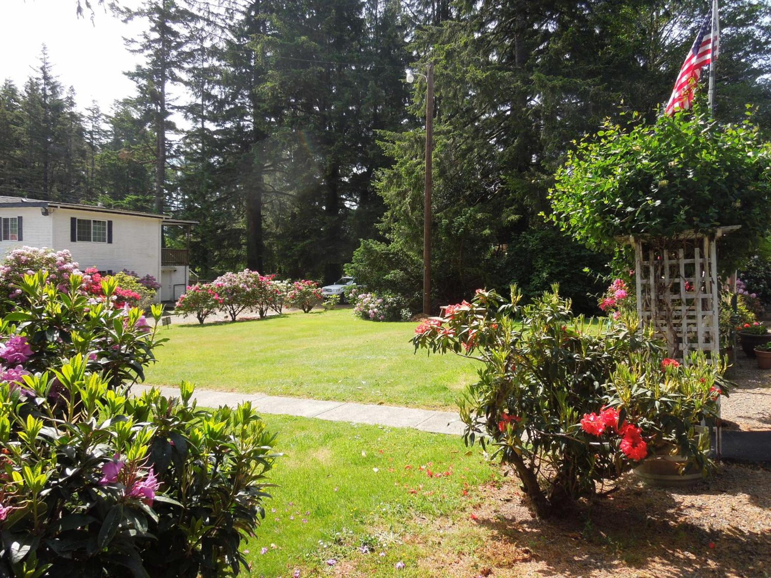 Park Motel and Cabins