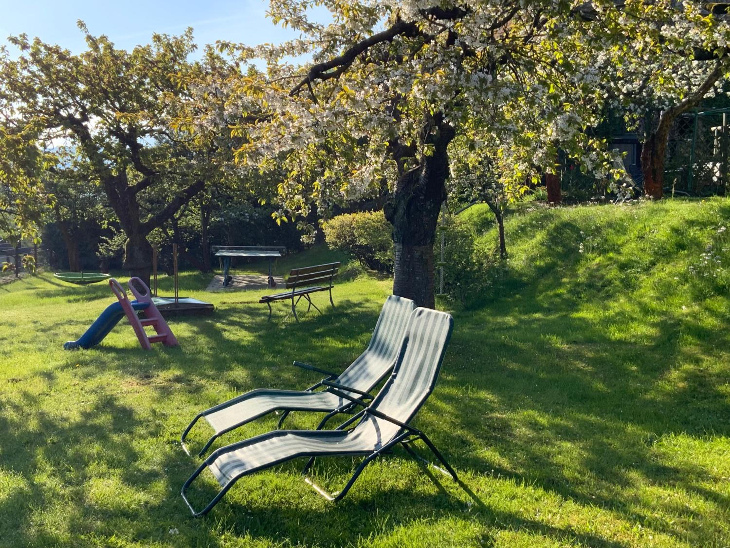 Pension Hönel-Hof Bad Schandau