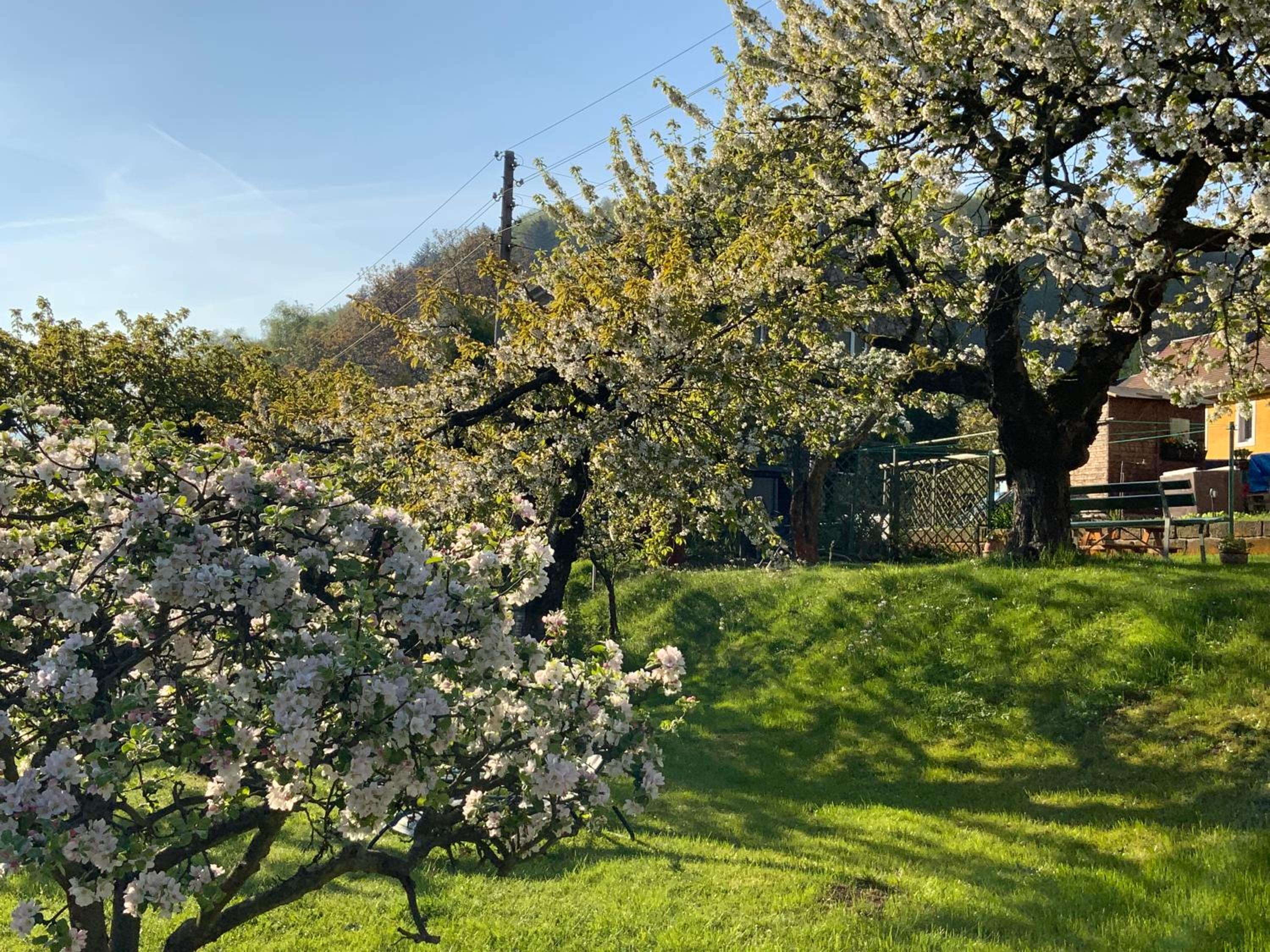 Pension Hönel-Hof Bad Schandau