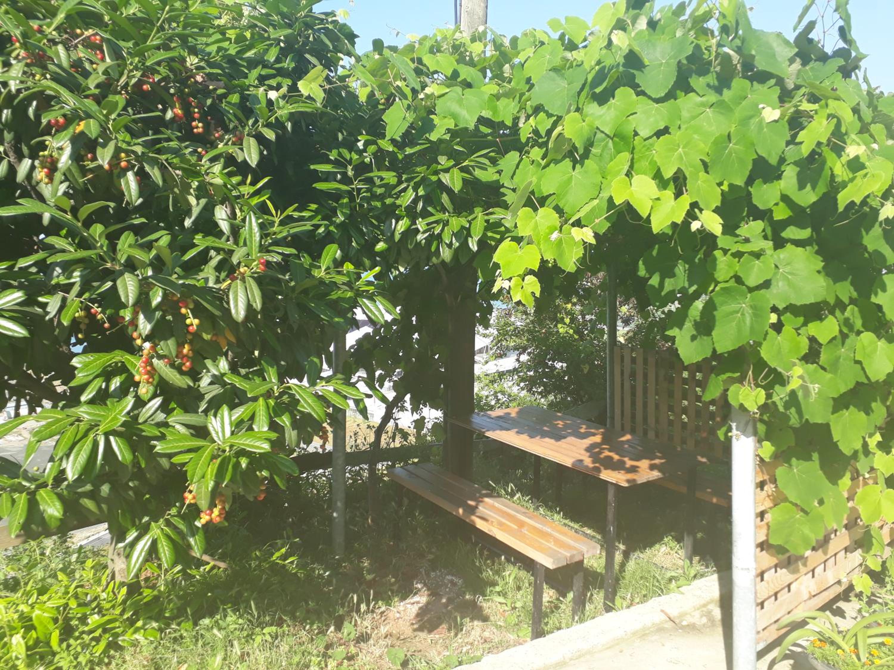 Guesthaus Levent view 3