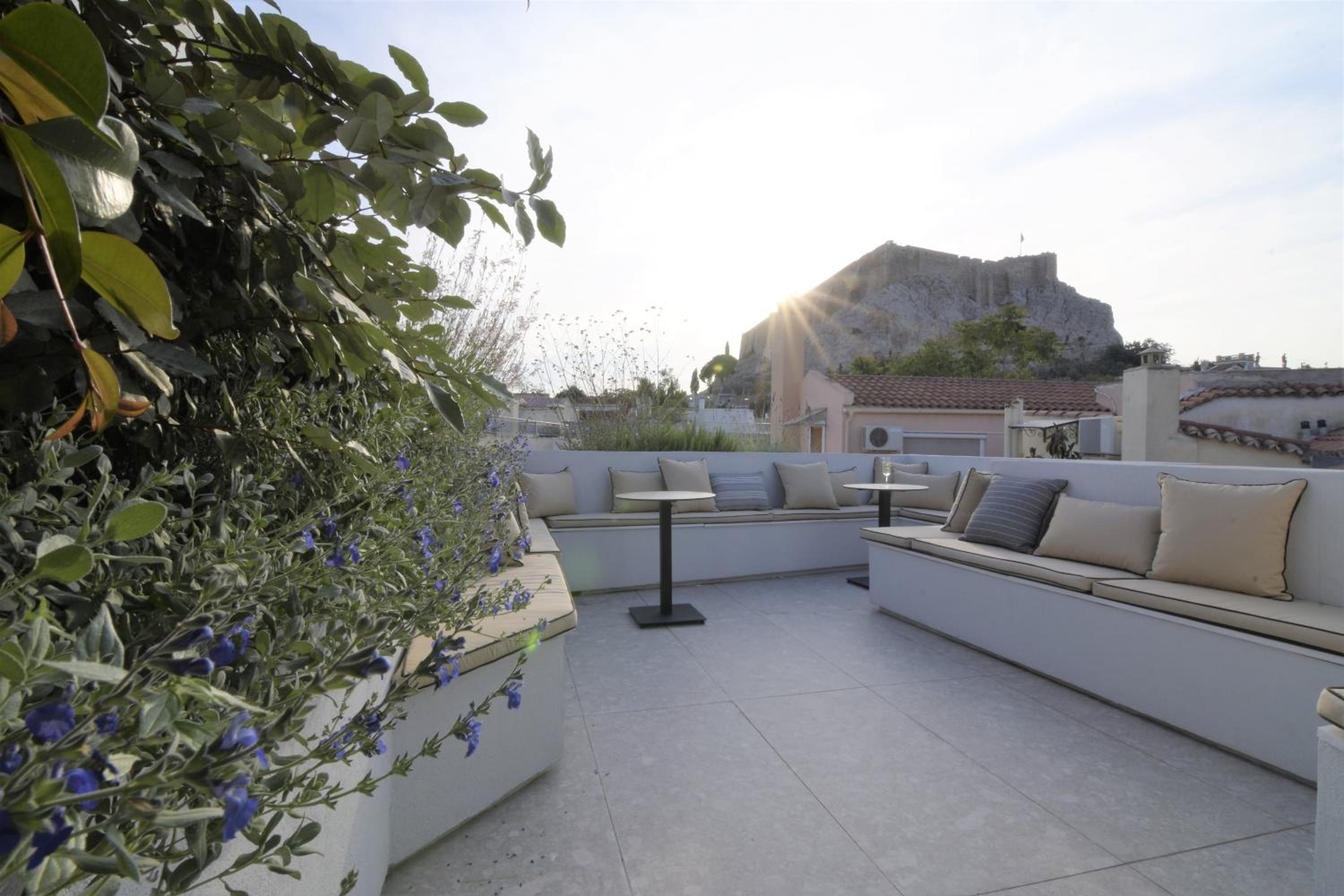 roof