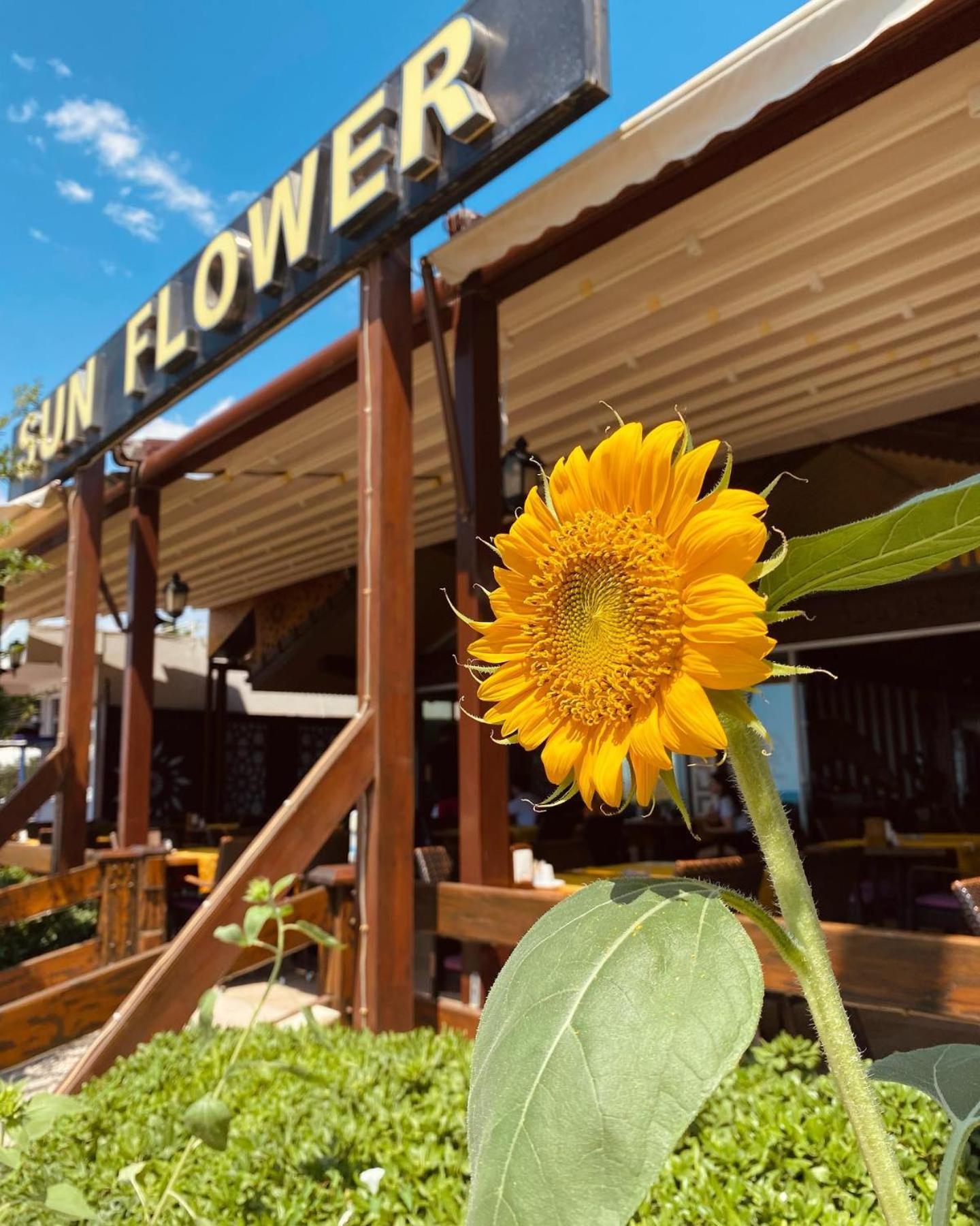 Side Vacations - Sun Flower Apart Hotel - Property Image 1