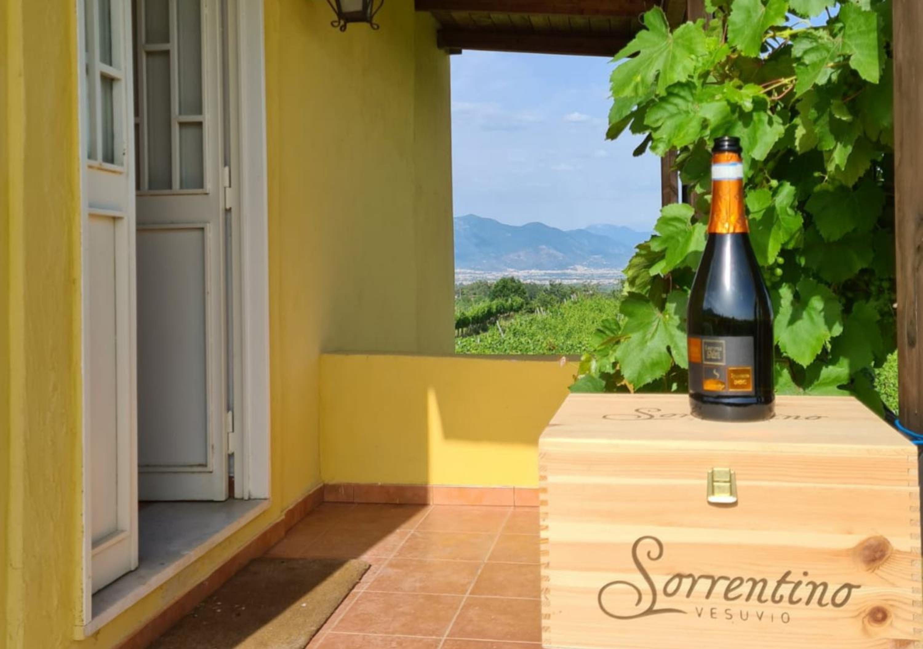 Vesuvio Inn Guest House e Wine Experience