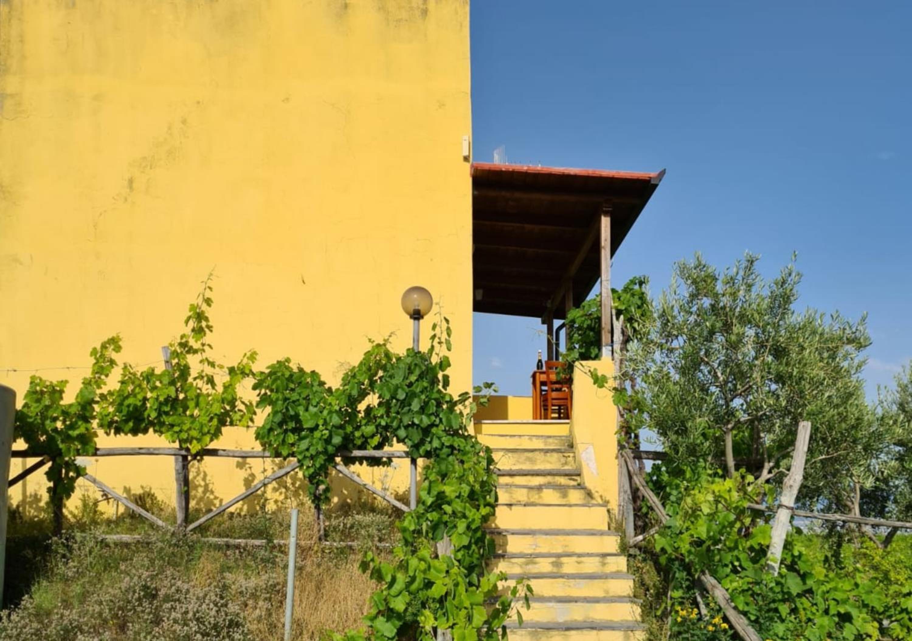 Vesuvio Inn Guest House e Wine Experience