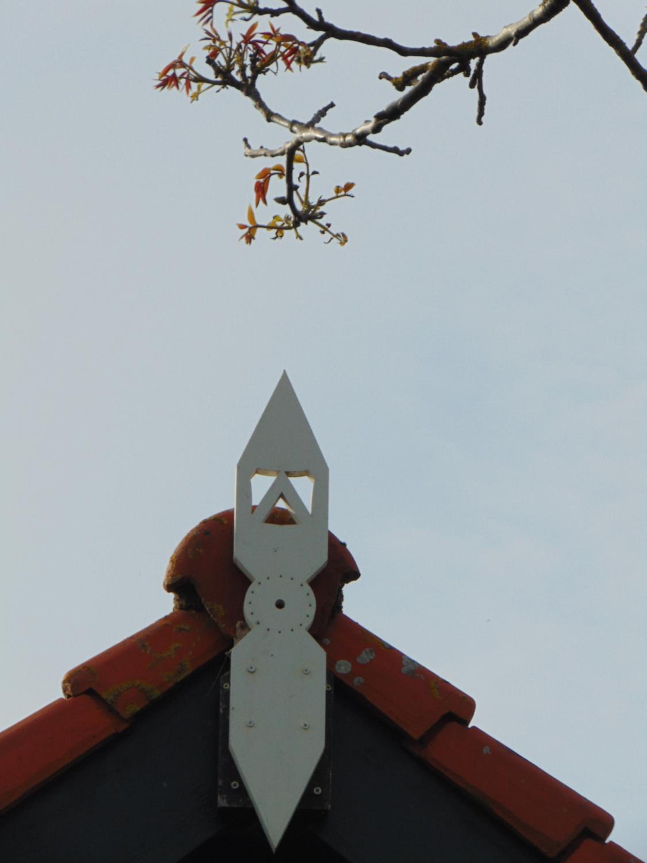 Photo 20