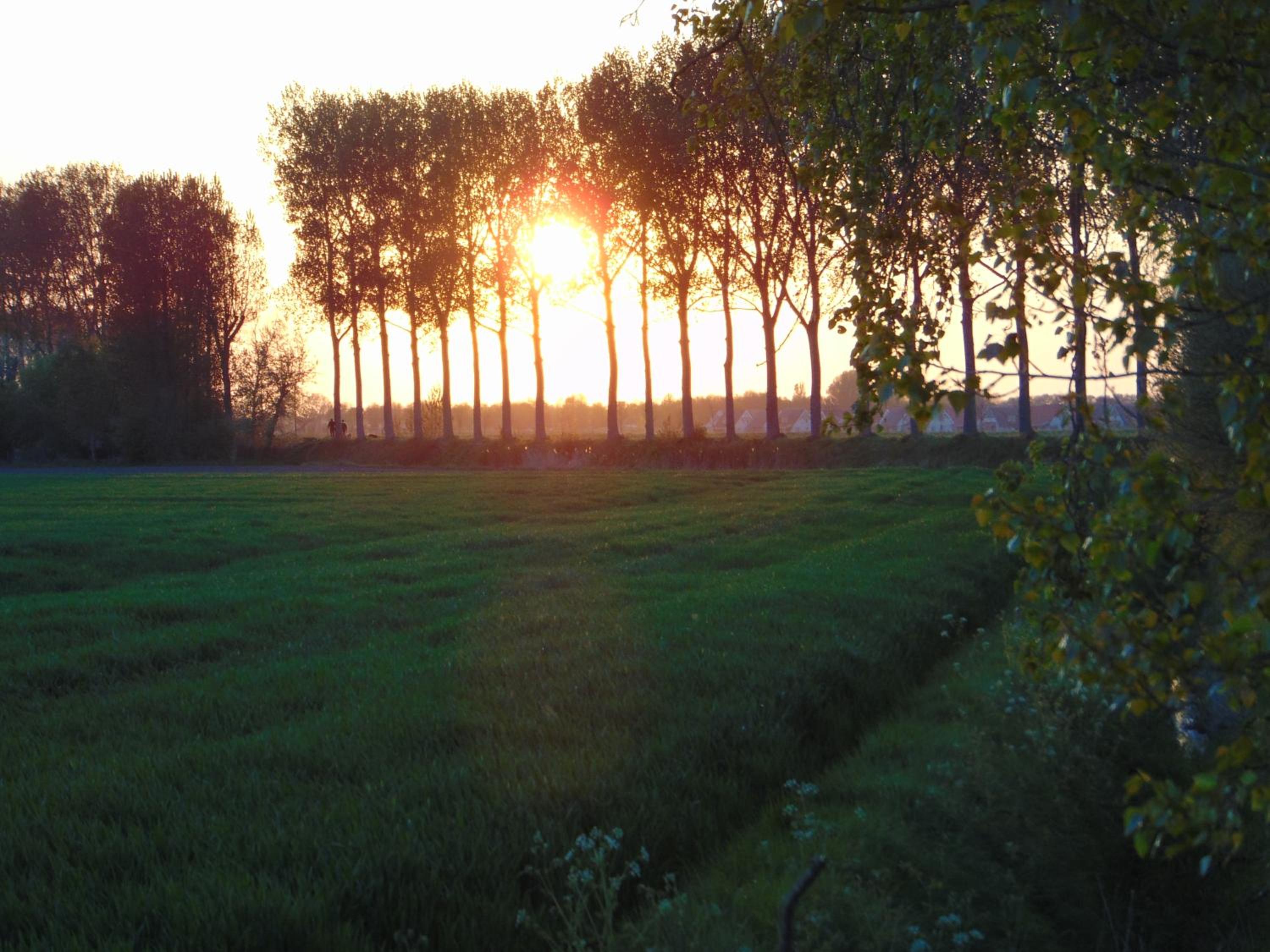 Photo 28
