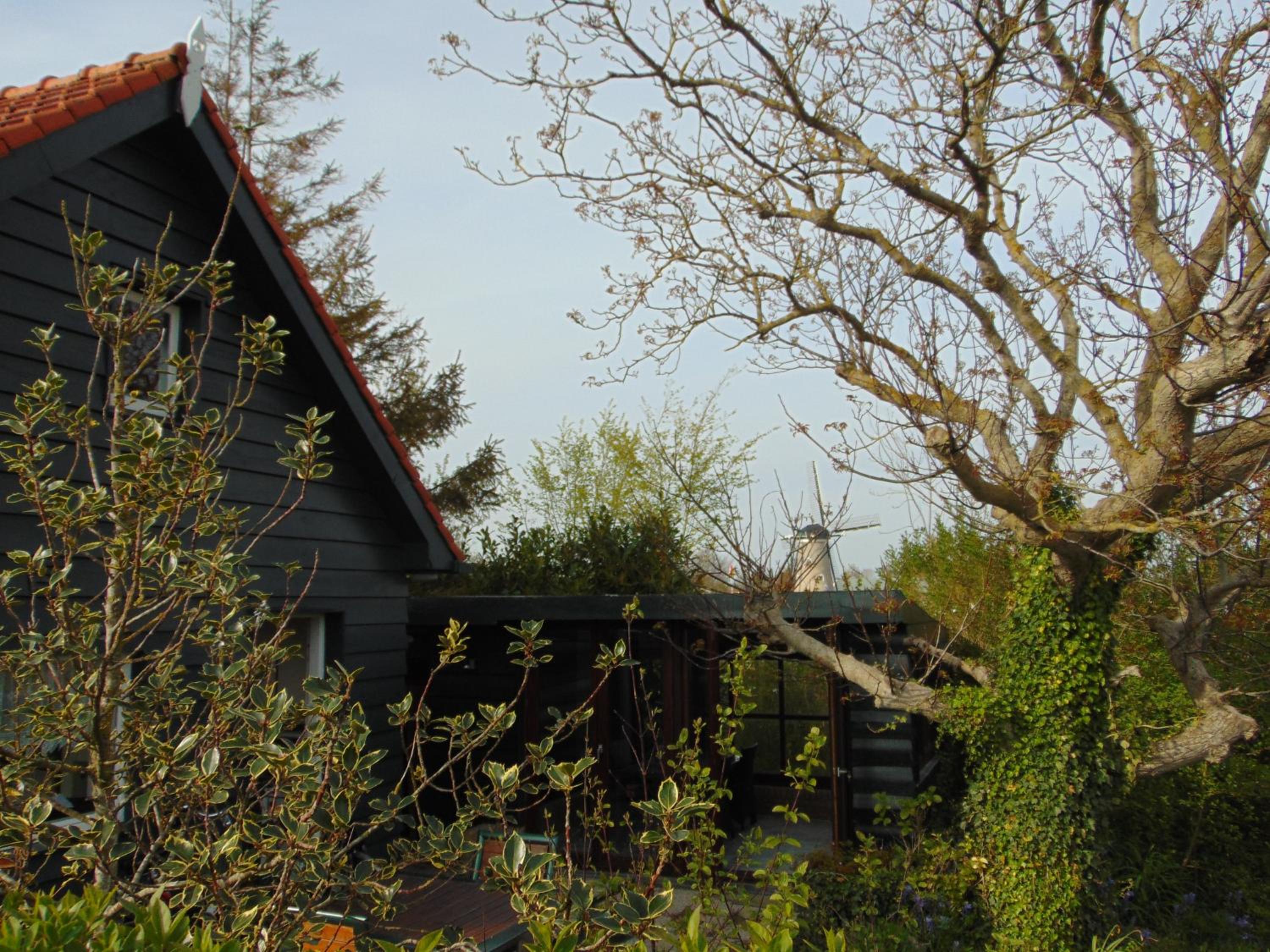 Photo 22