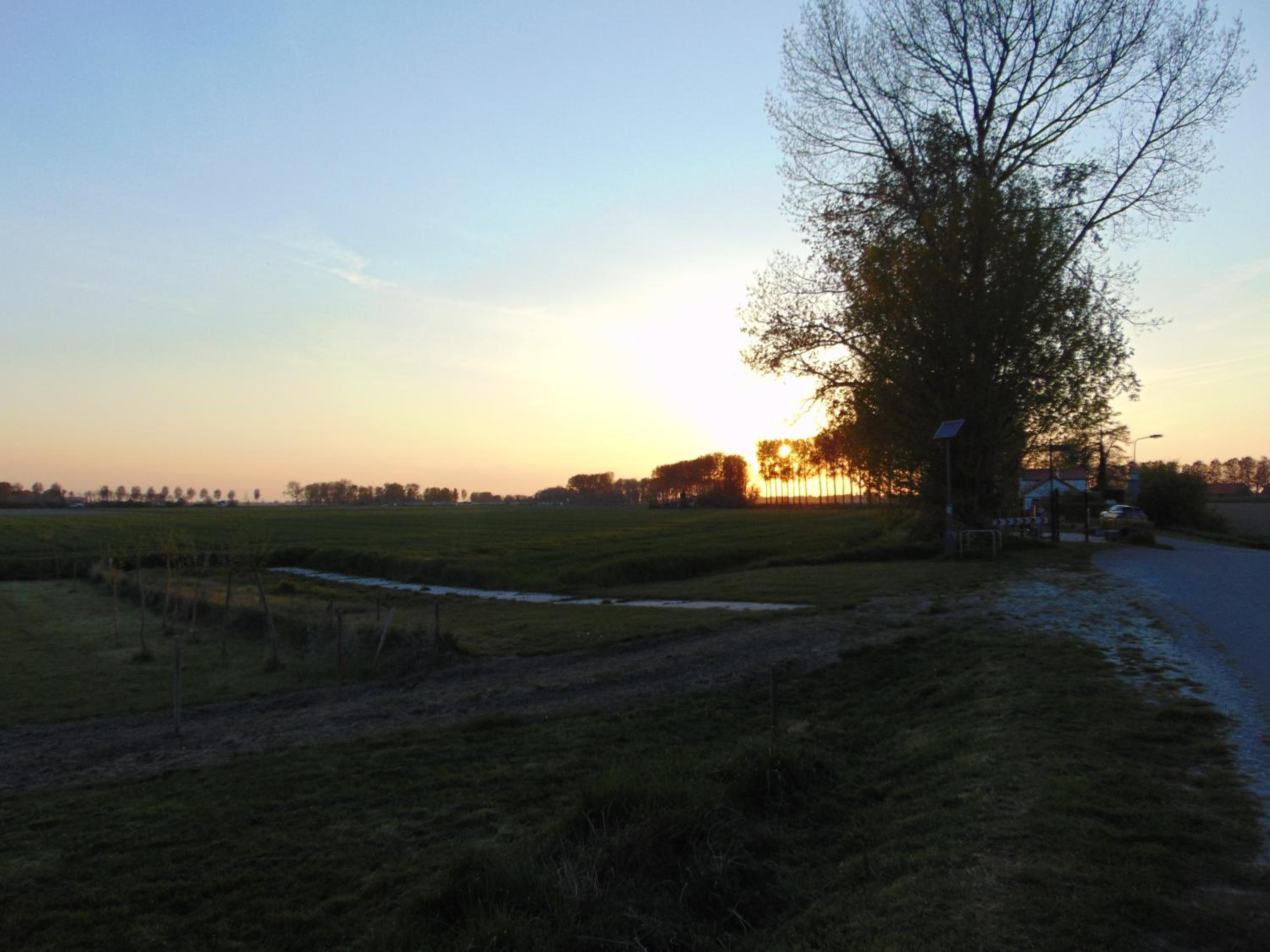 Photo 32