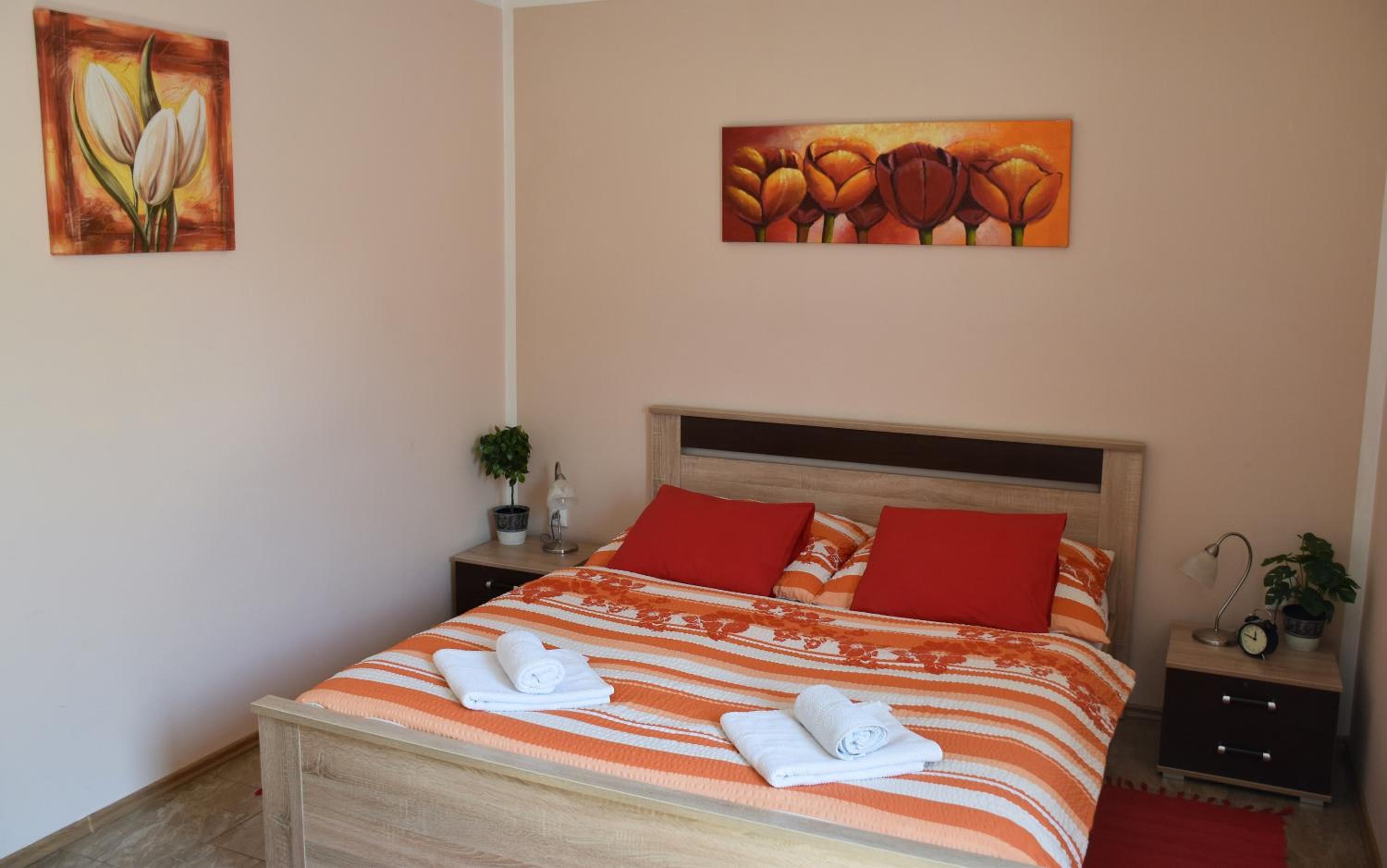 Apartment Boroví