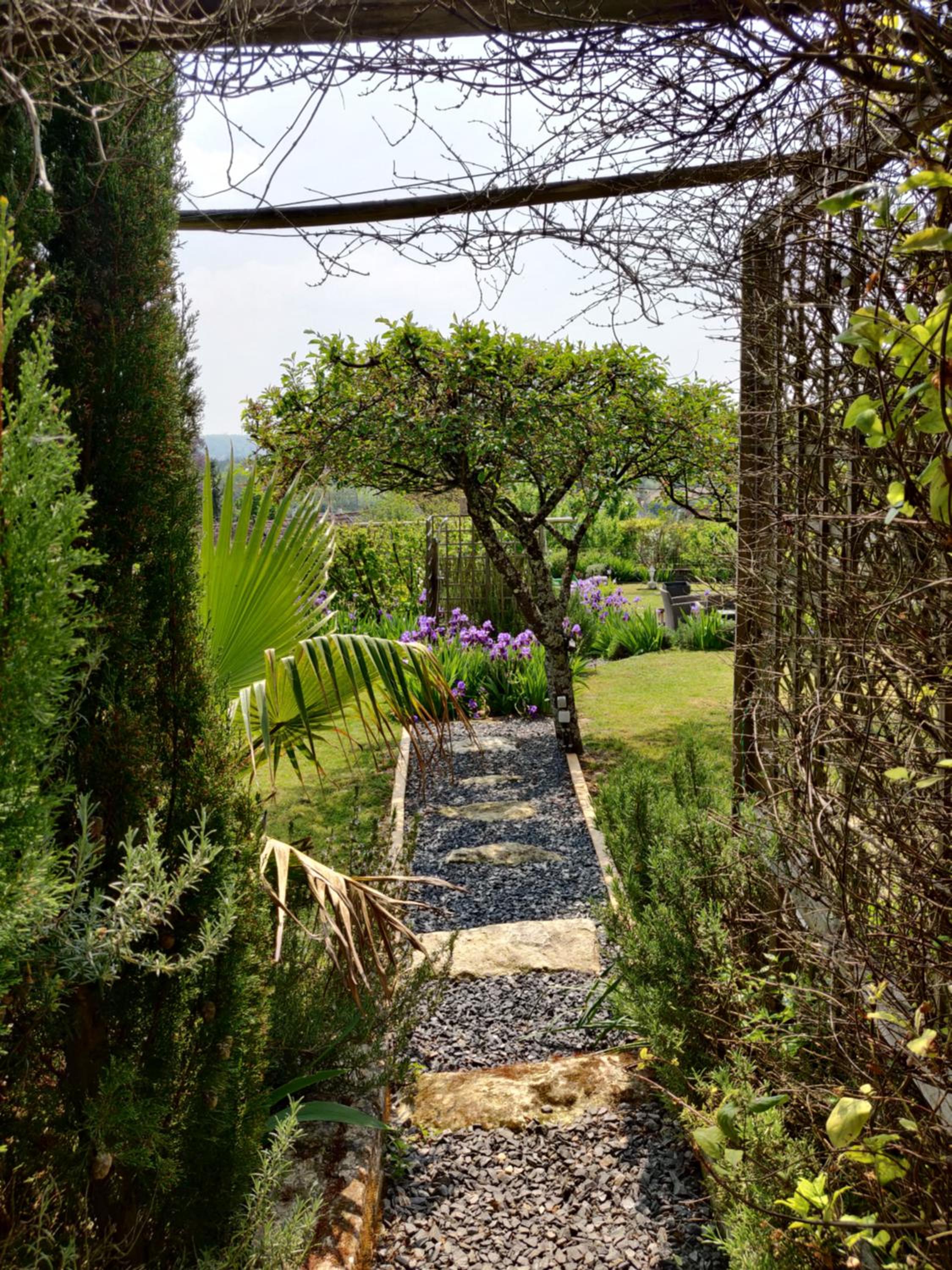 Photo 28