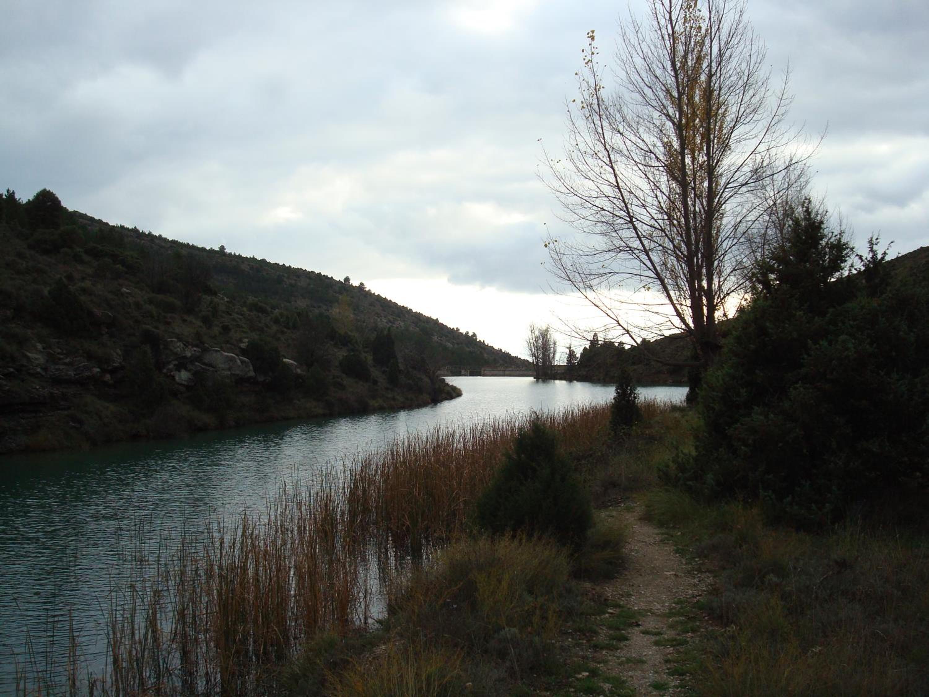 Photo 28