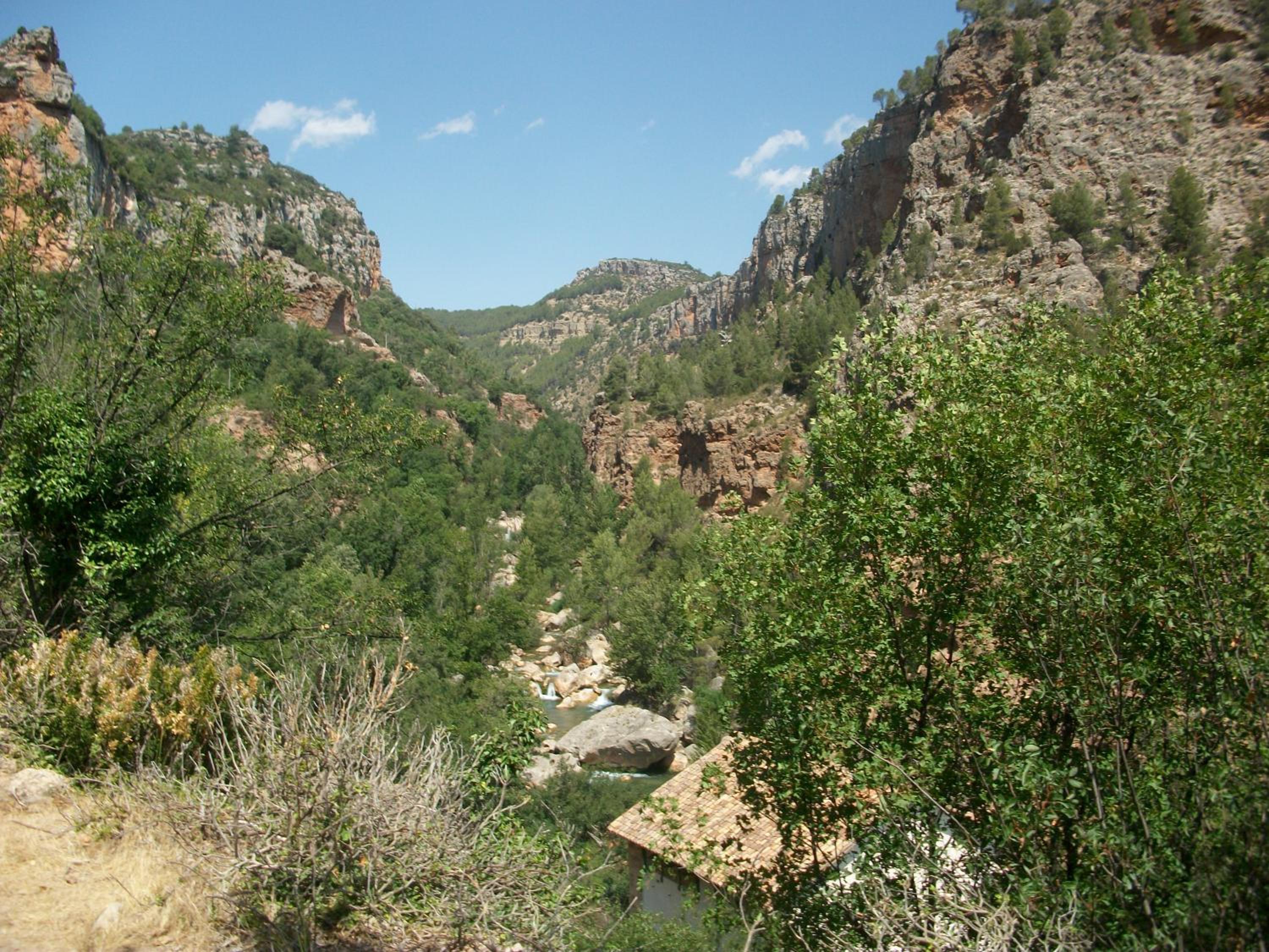 Photo 35
