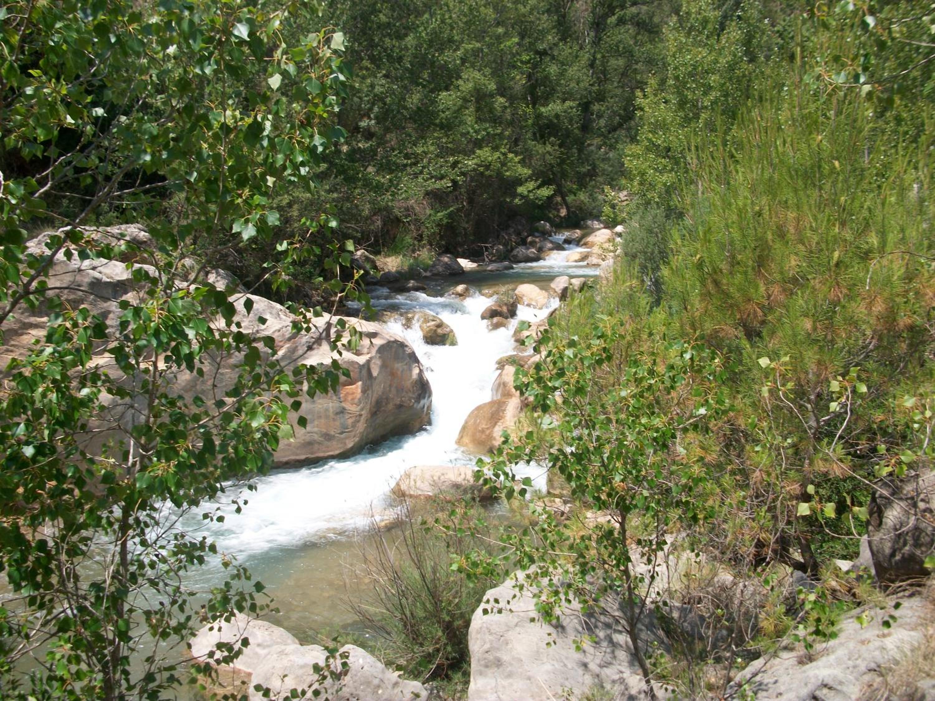 Photo 34