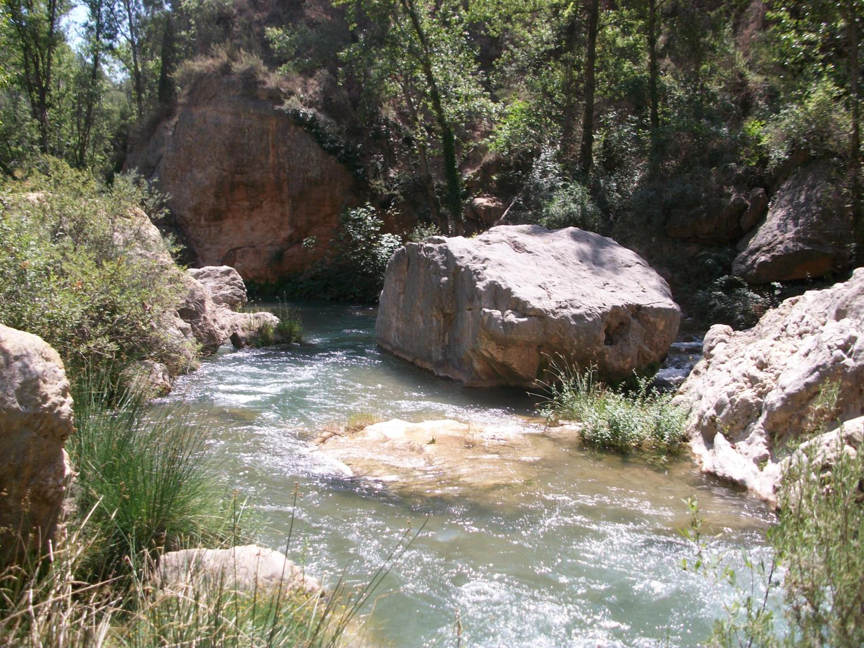 Photo 43