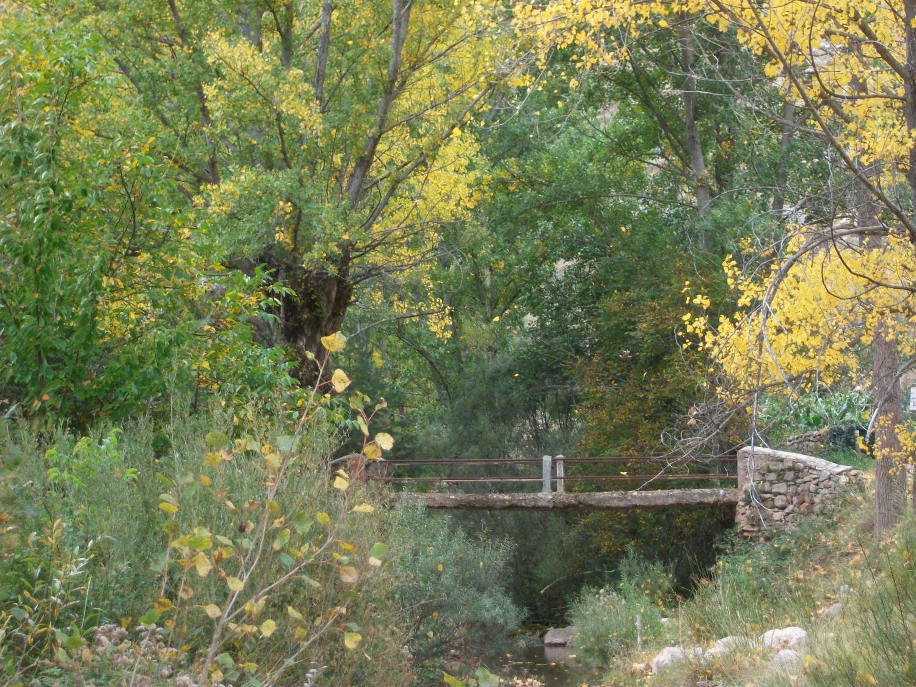 Photo 47