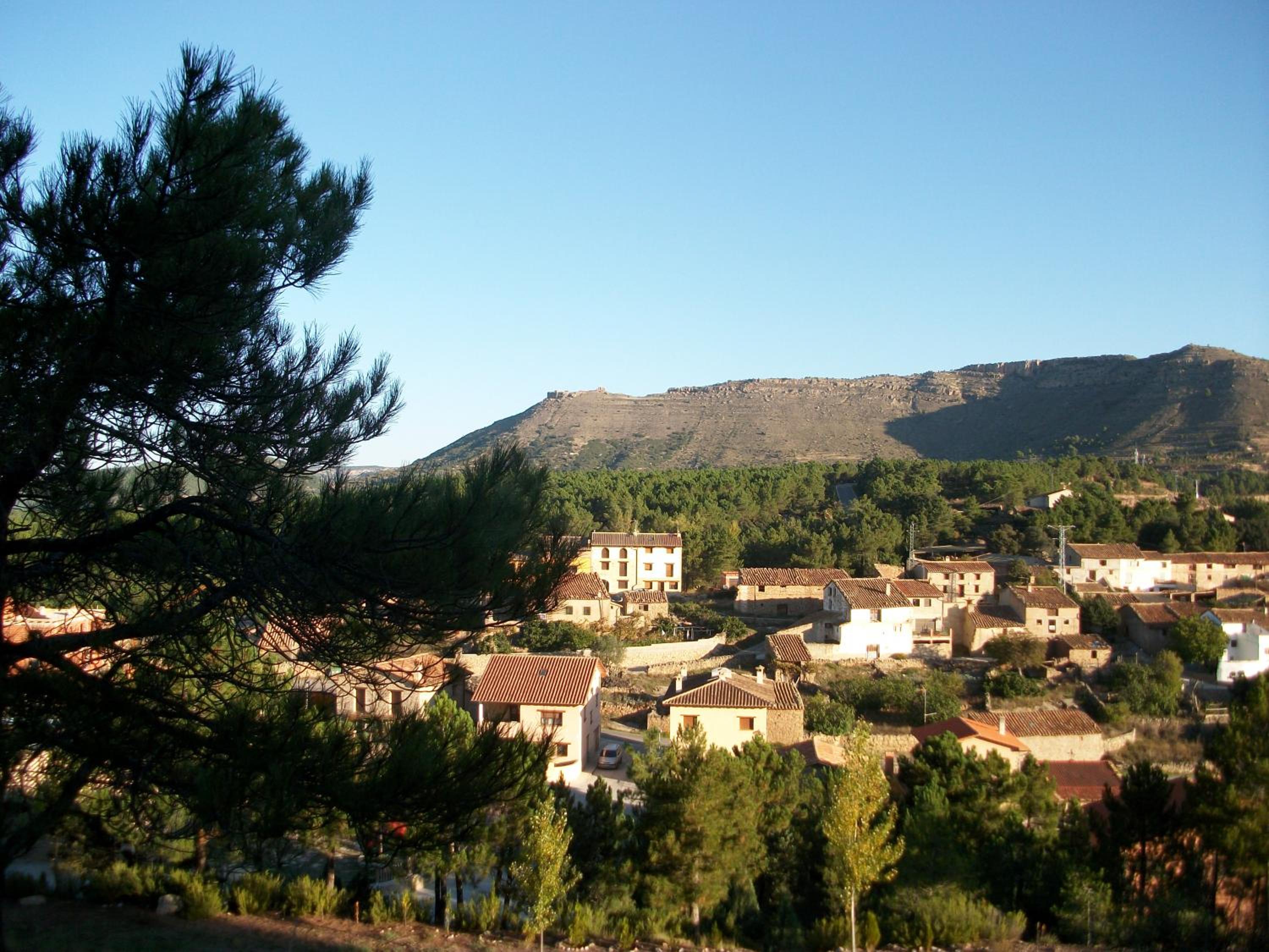 Photo 44