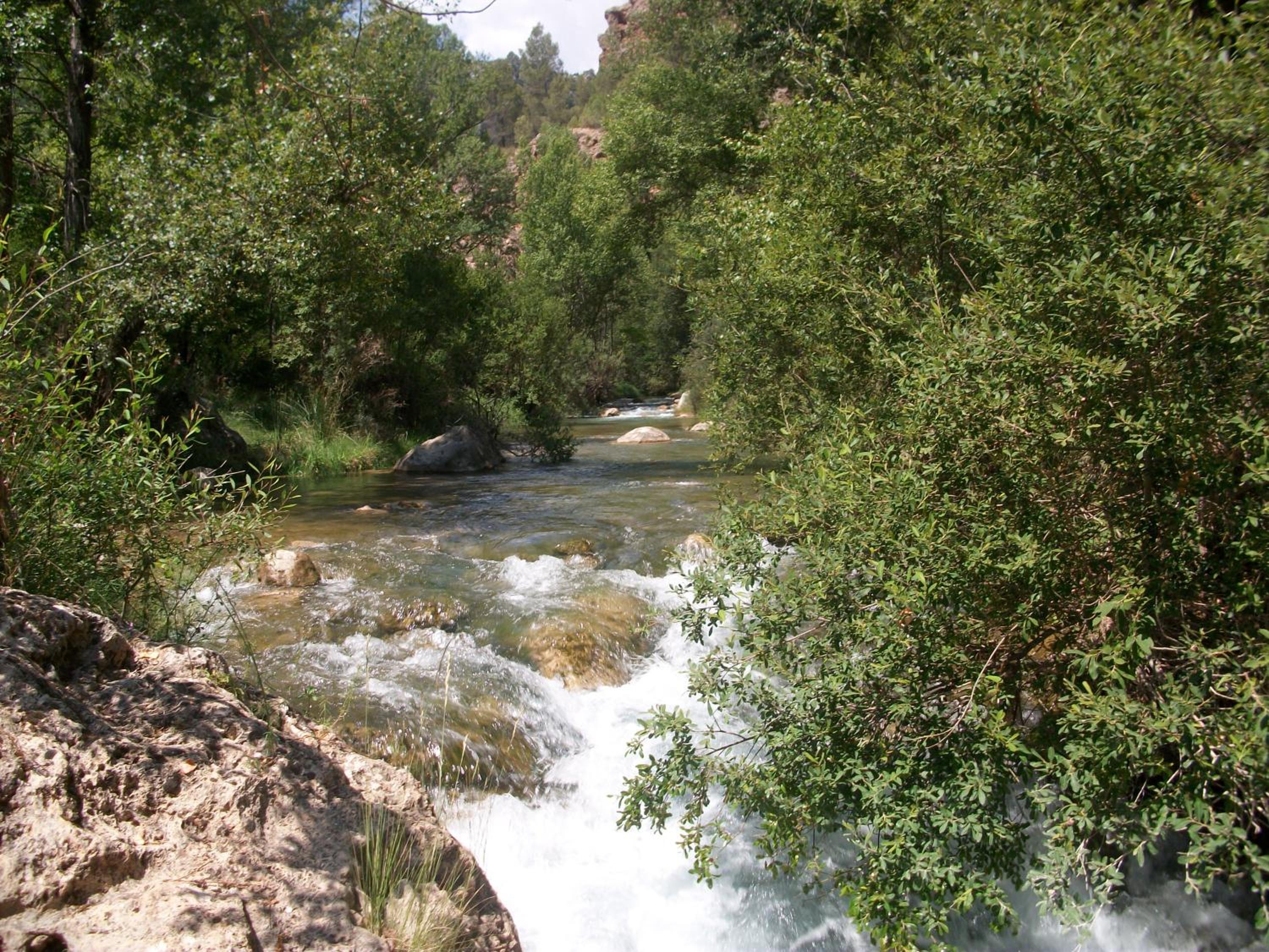 Photo 46