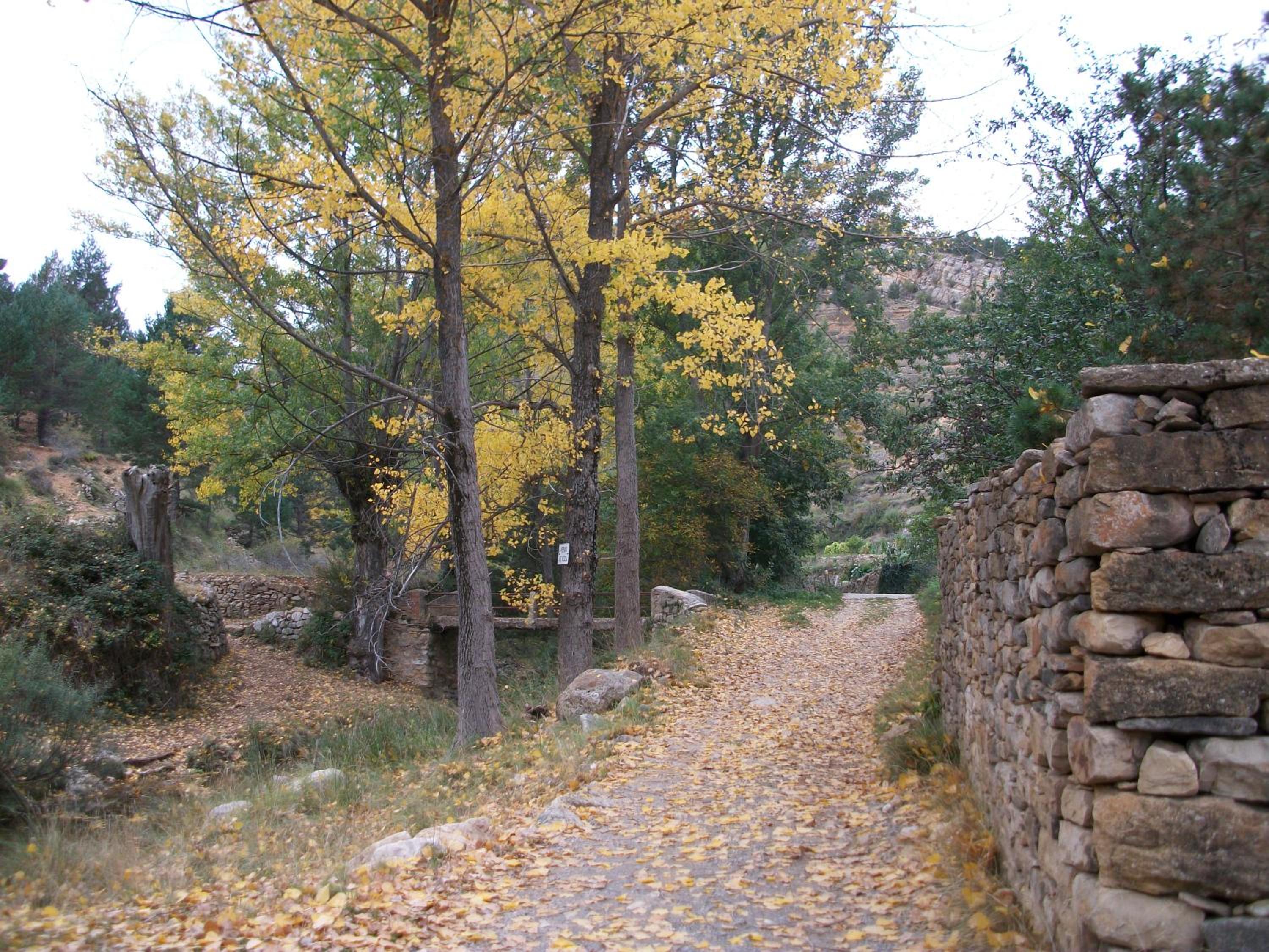 Photo 45