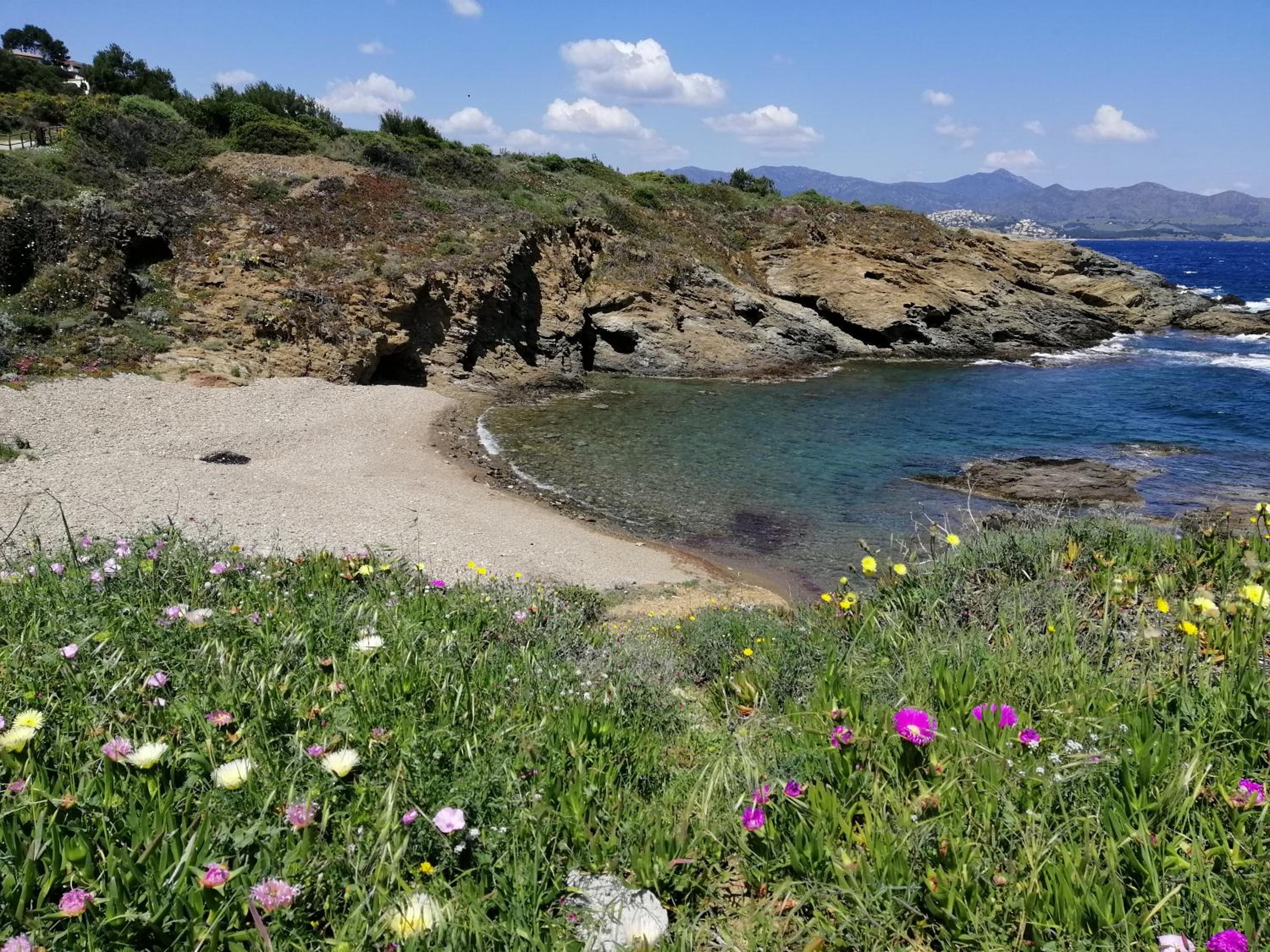 Casa Platja d'en Robert view 3
