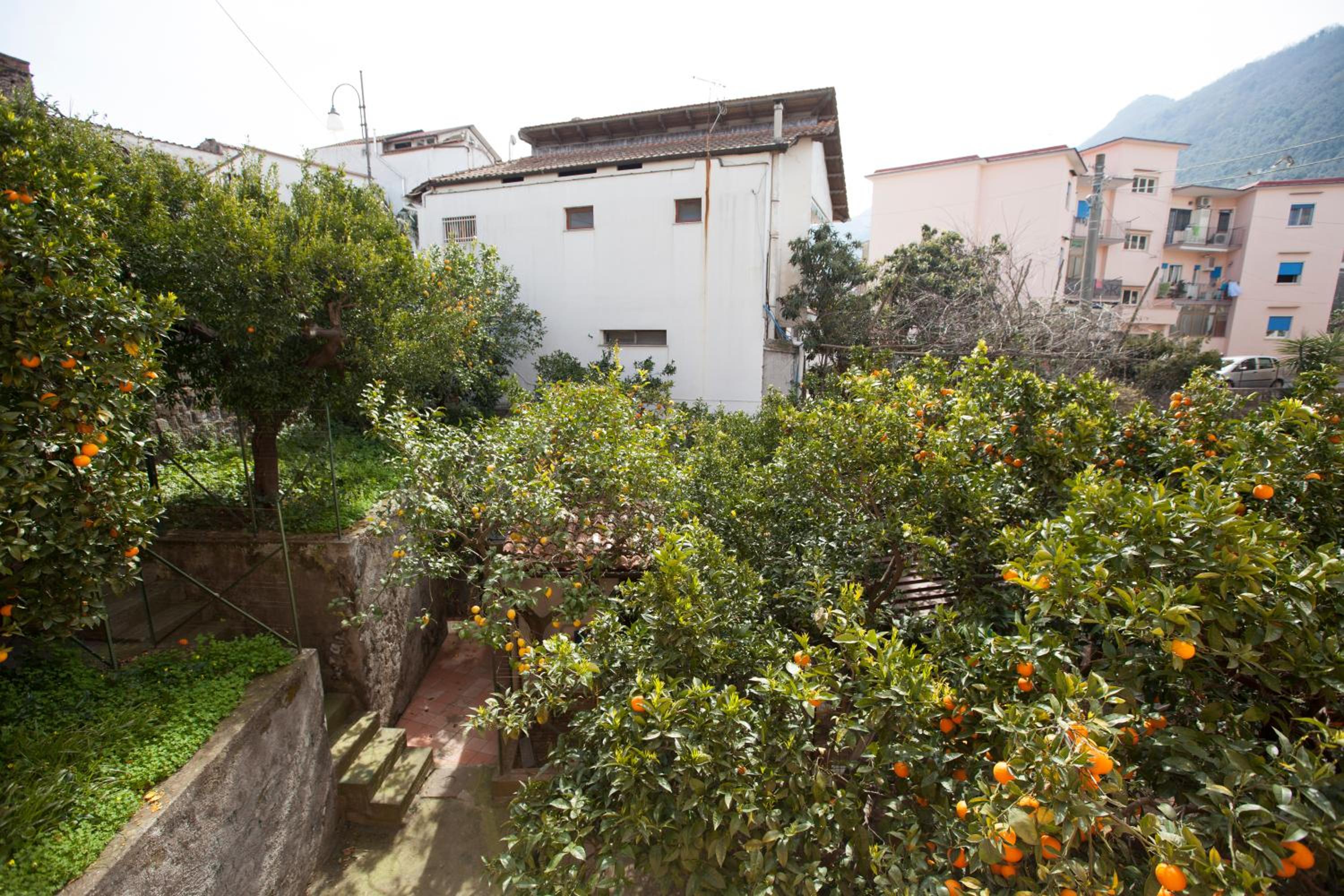 Photo 27