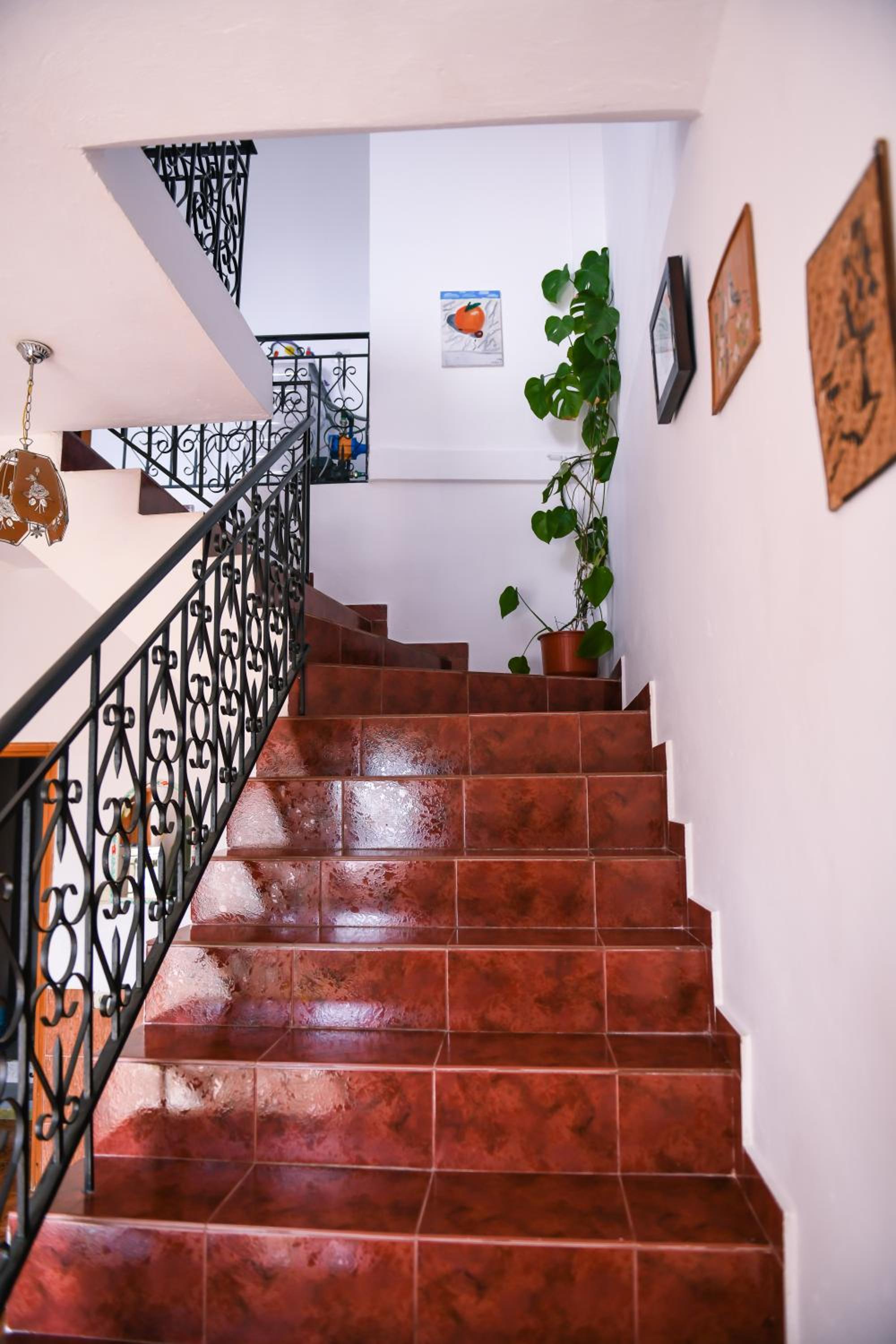 Guest House Luli