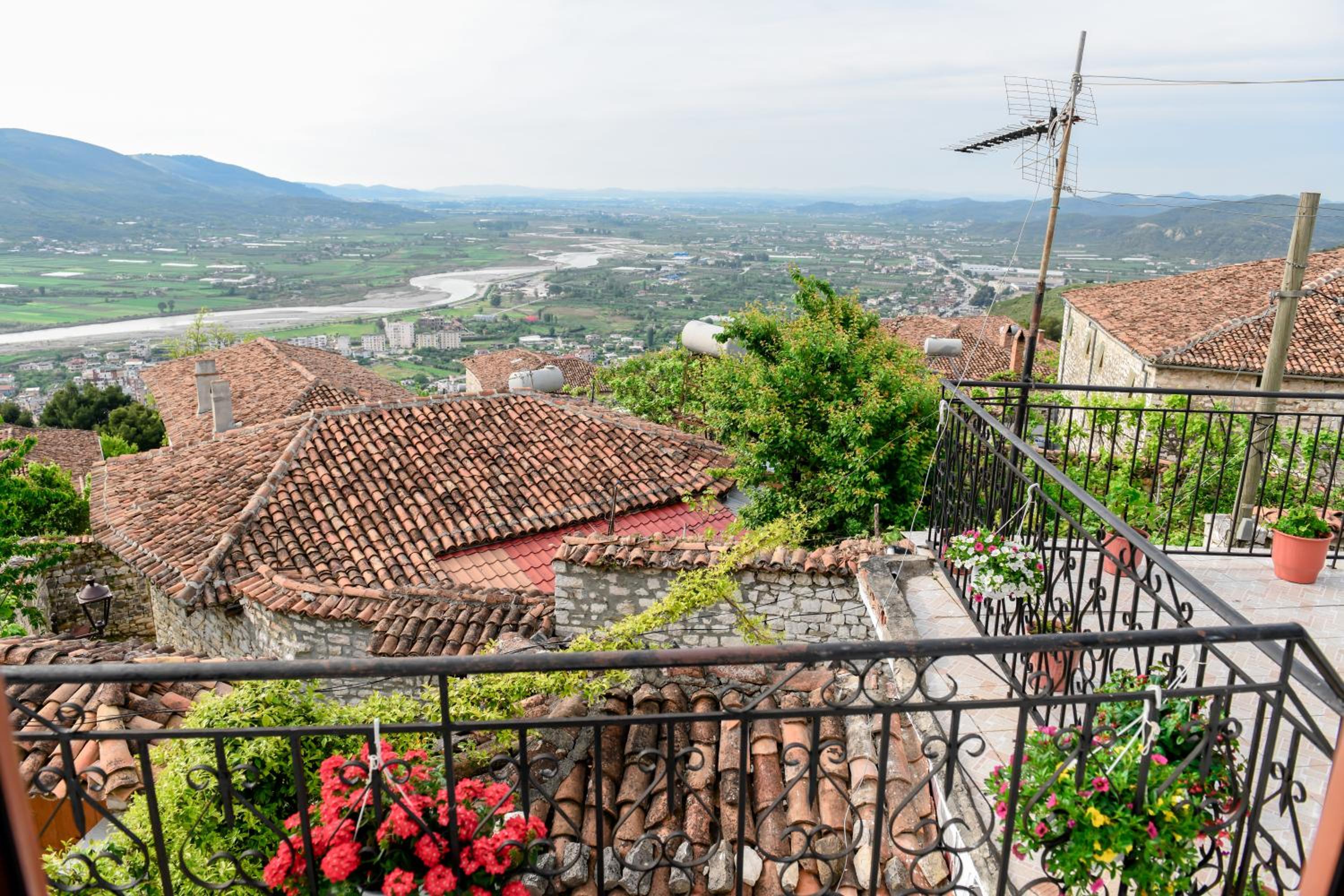 Guest House Luli