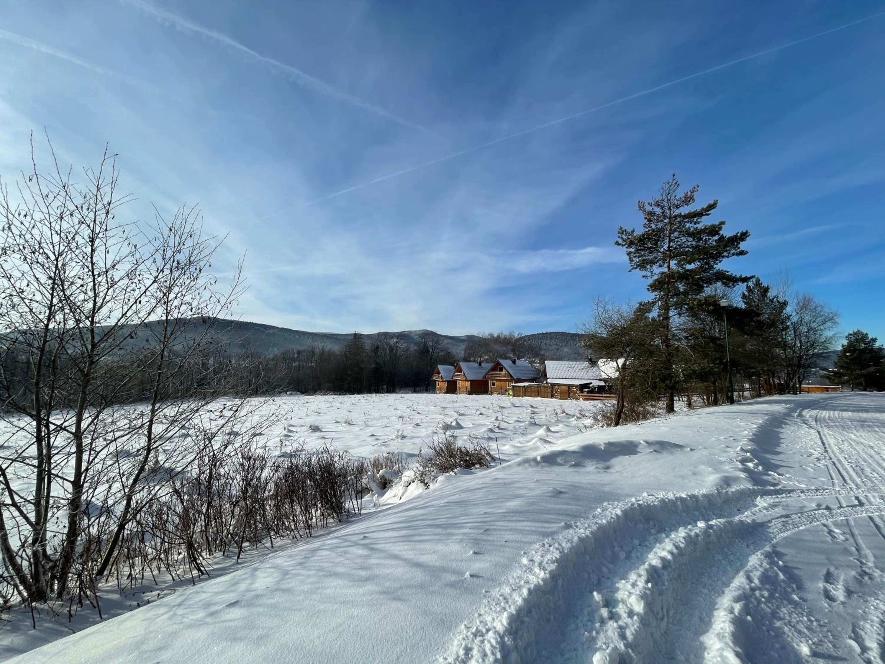 Photo 50