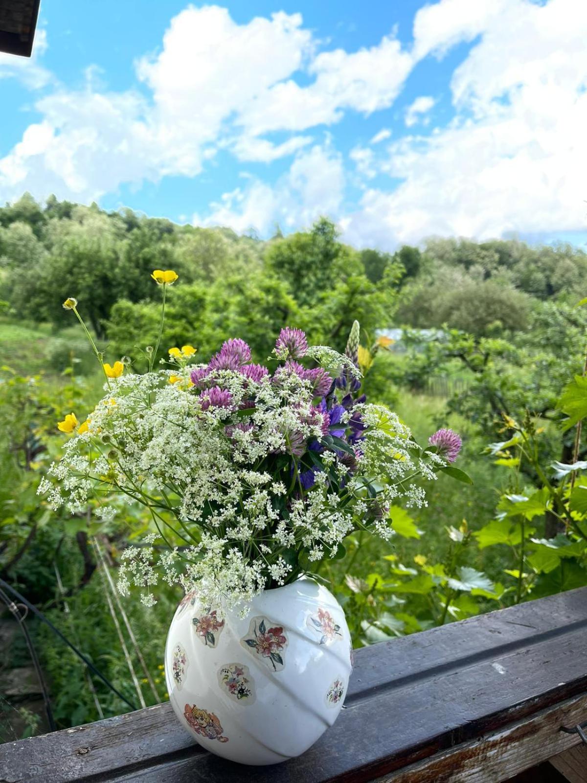 Livada lui Papu view 2