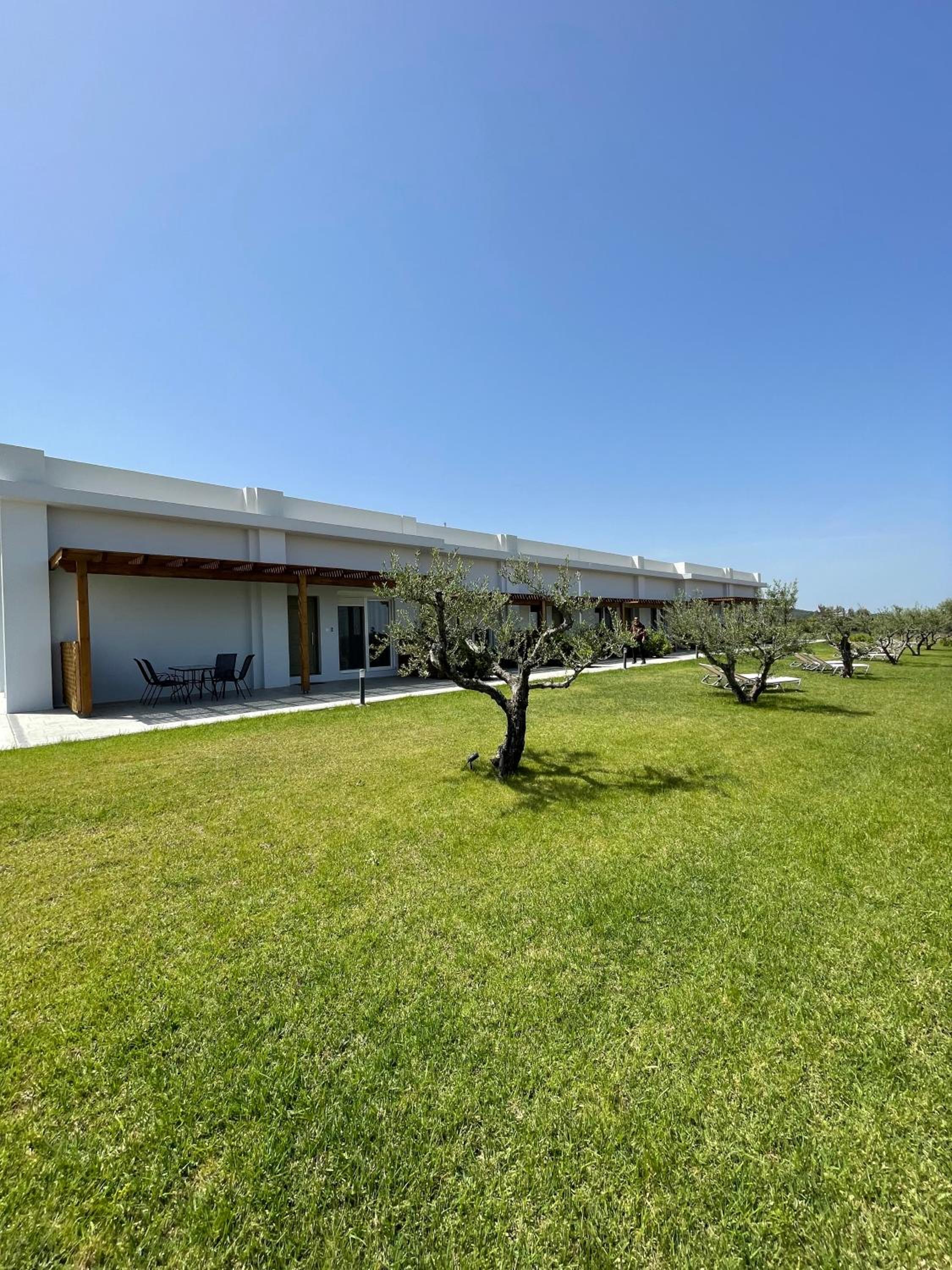 Olive Tree Garden view 2