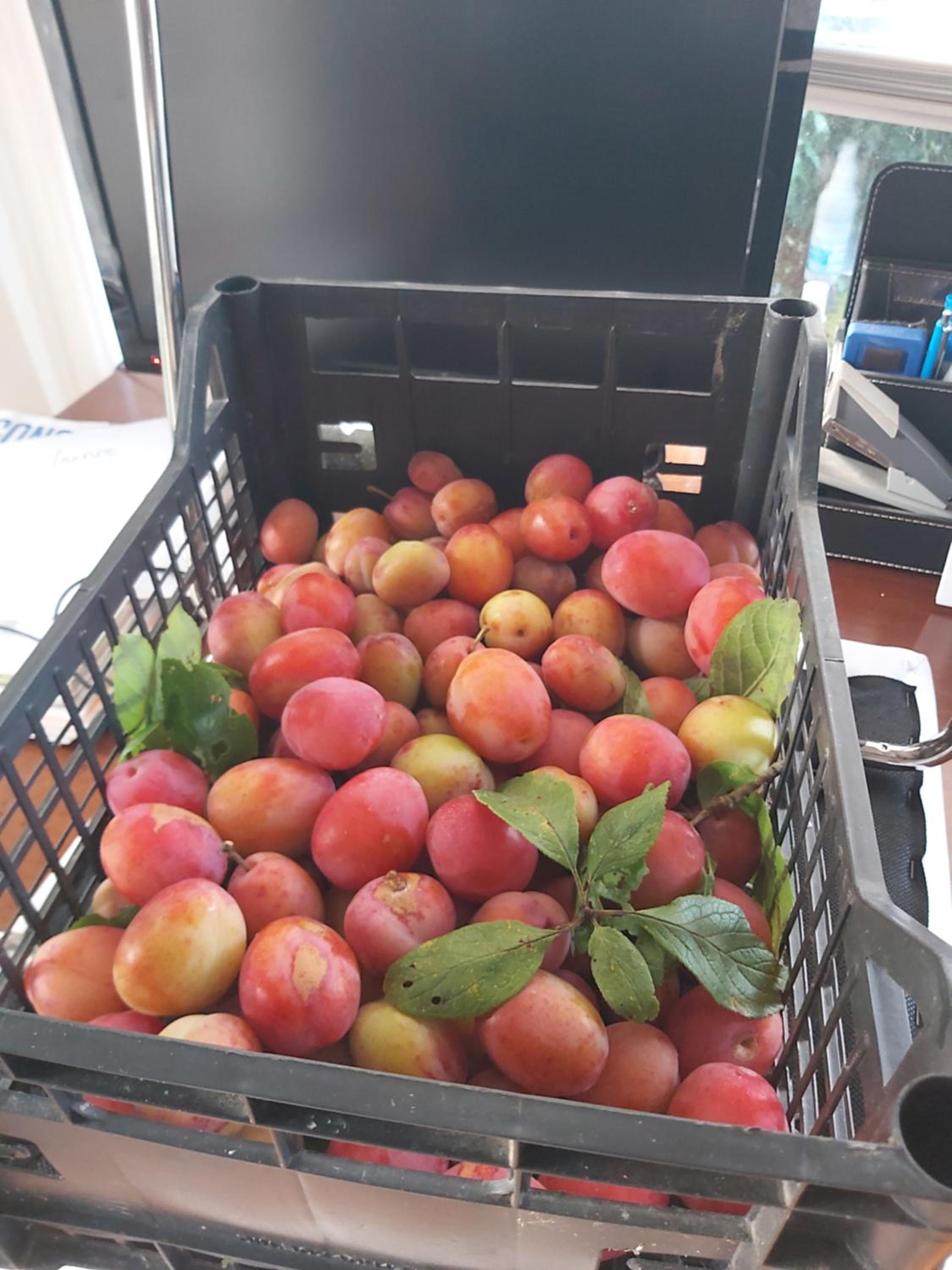 Photo 72