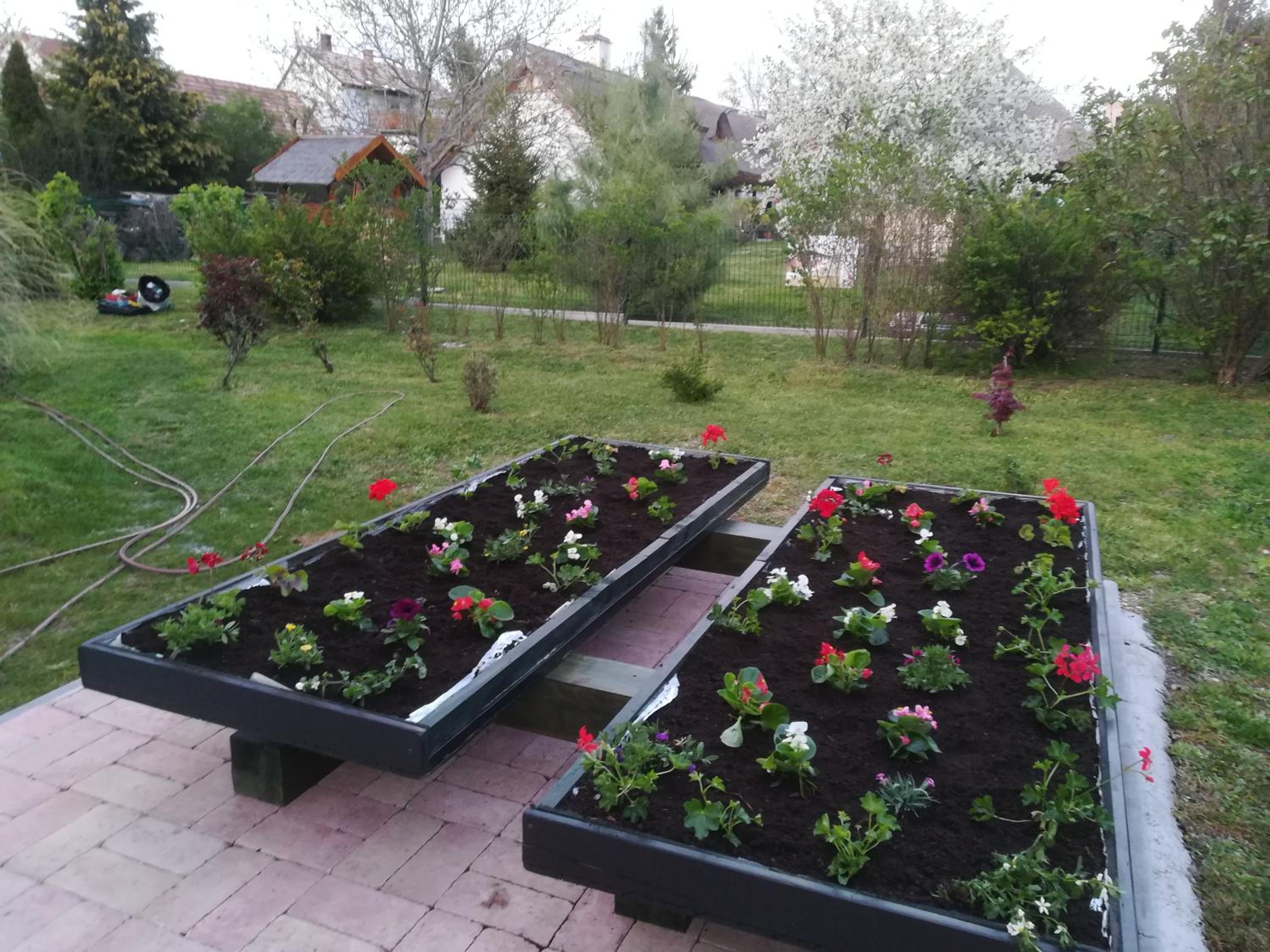 Photo 11
