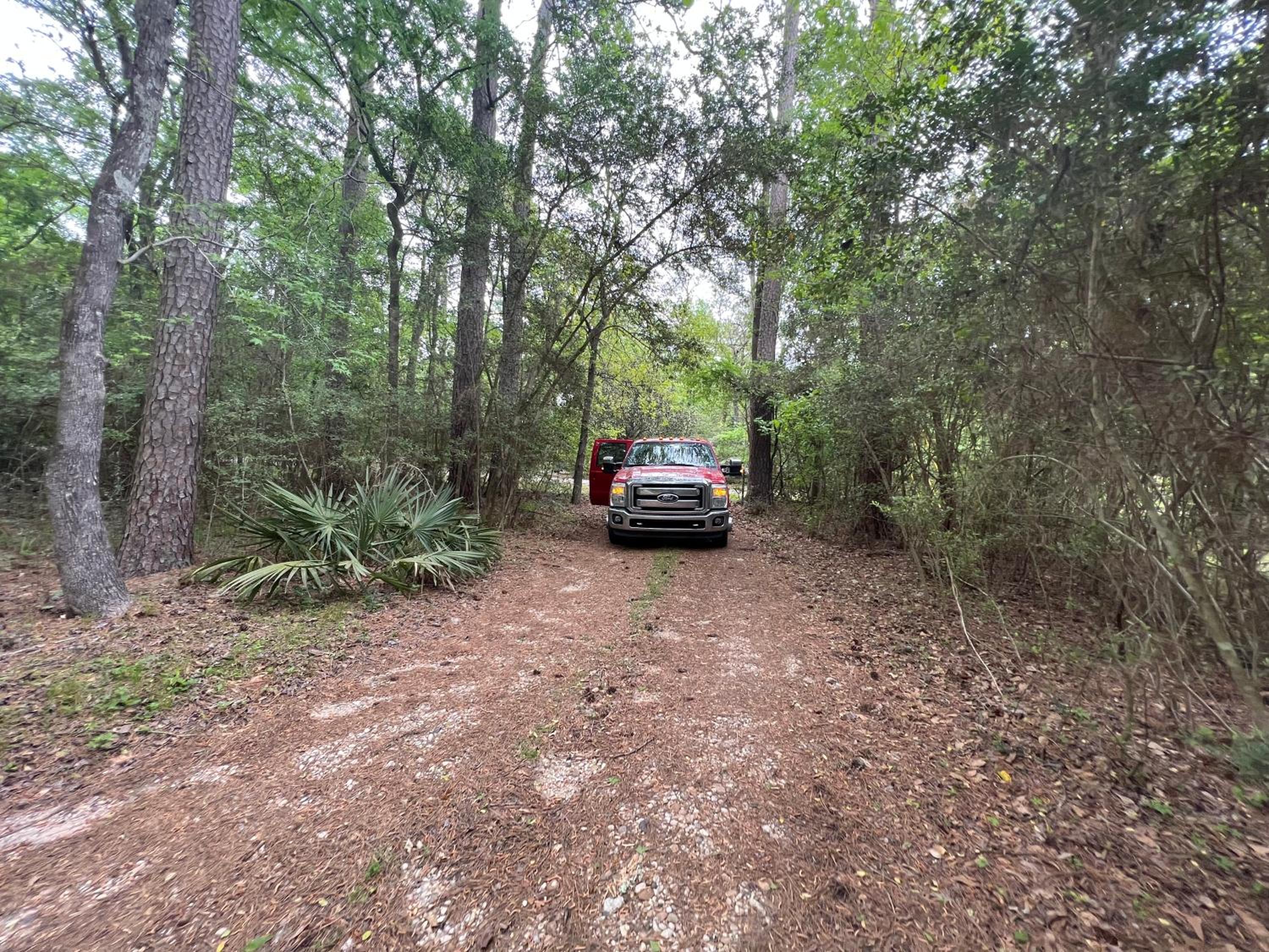 2 BDRM Treehouse Hideout- Lake Conroe with Boat ramp view 3