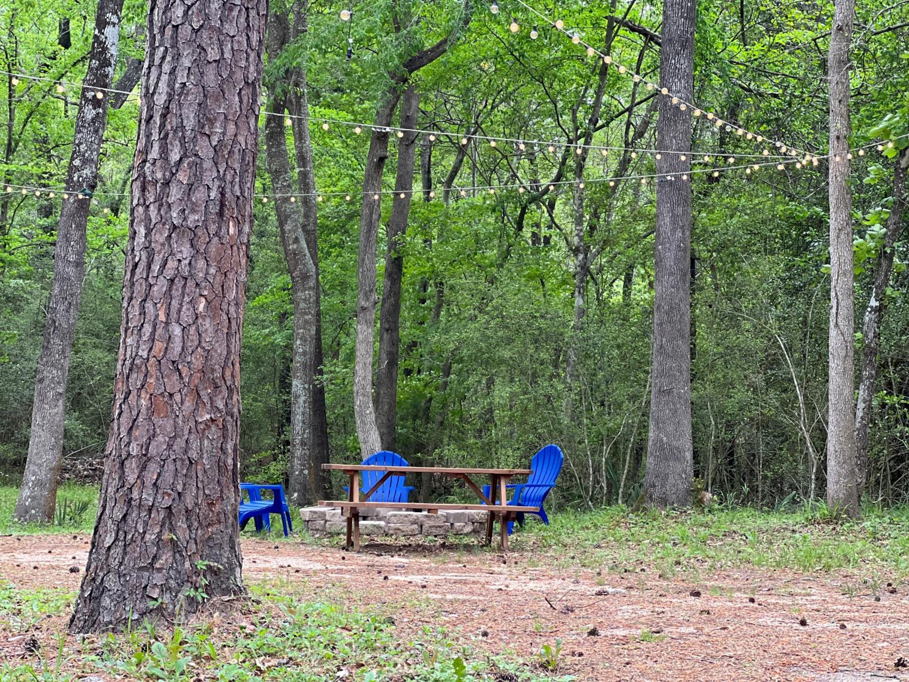2 BDRM Treehouse Hideout- Lake Conroe with Boat ramp view 4
