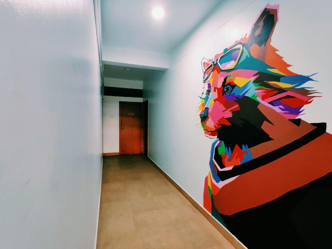 Raccoon Rooms view 5
