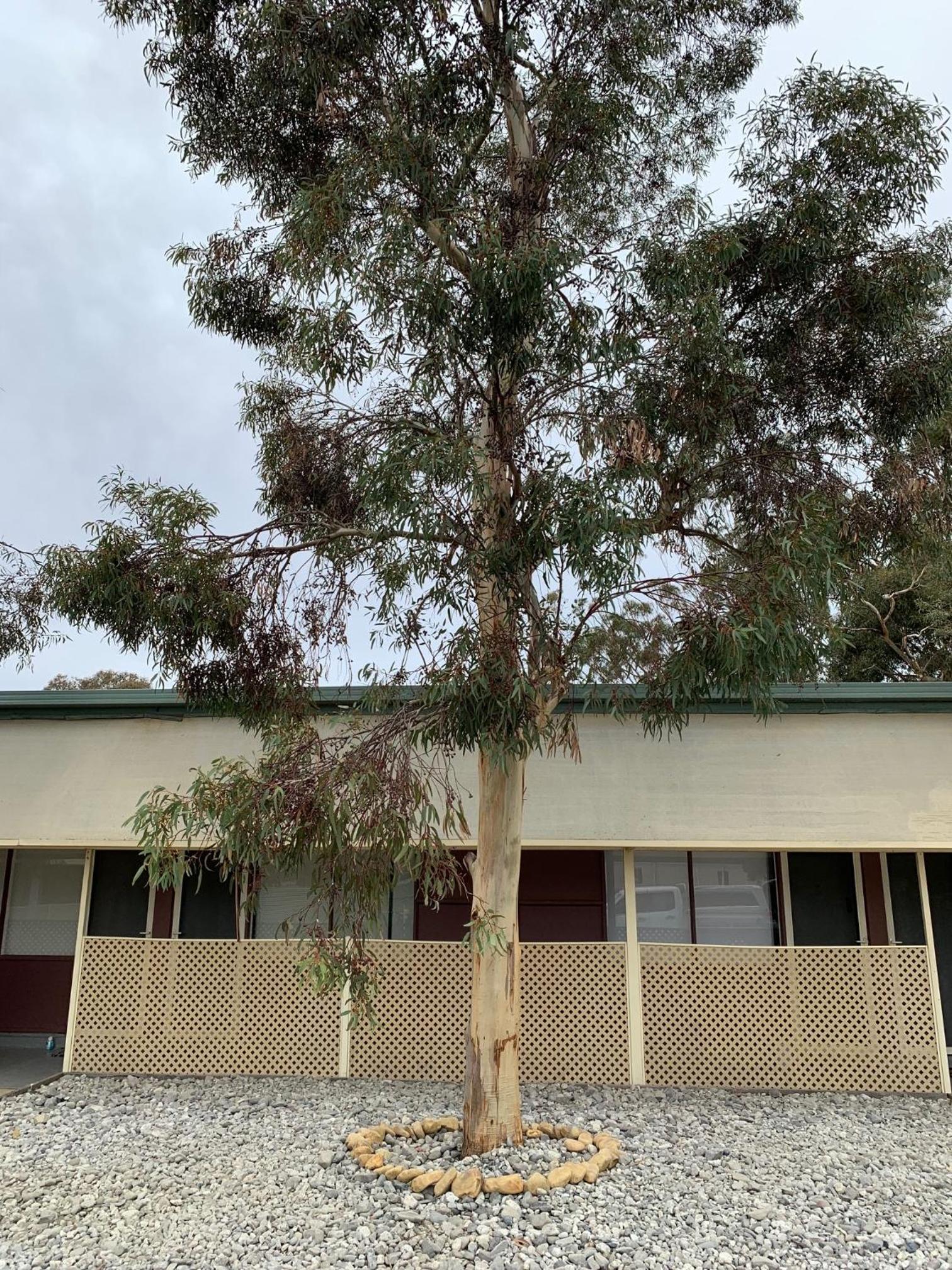 TORRUMBARRY MOTEL view 4