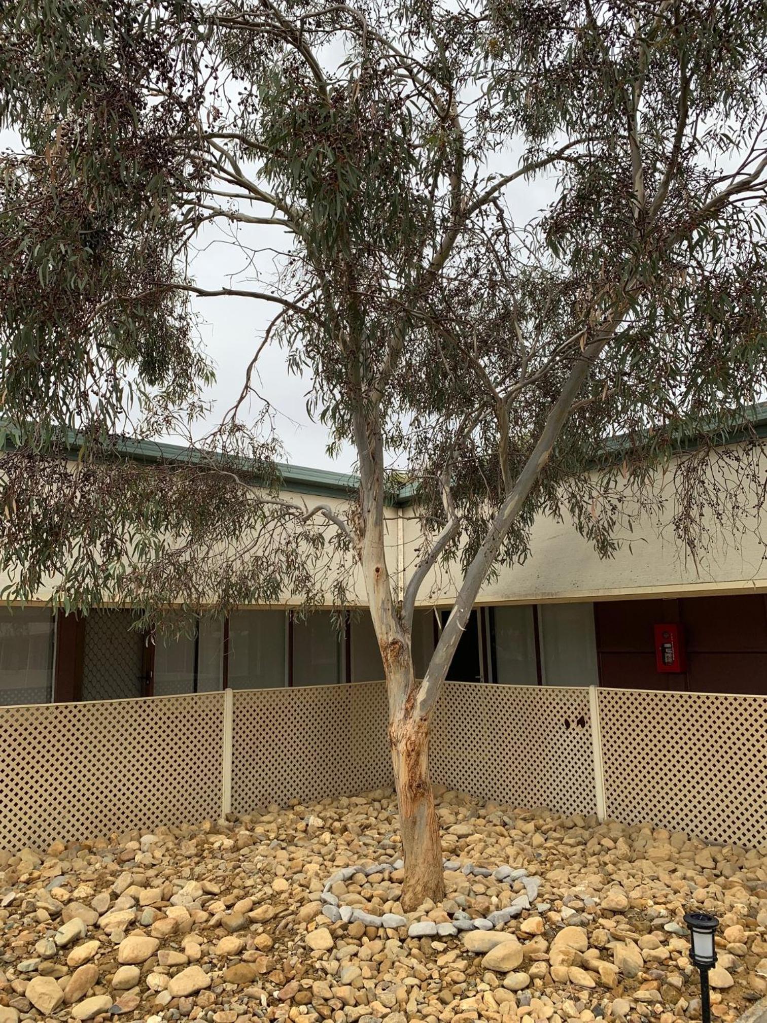 TORRUMBARRY MOTEL view 3
