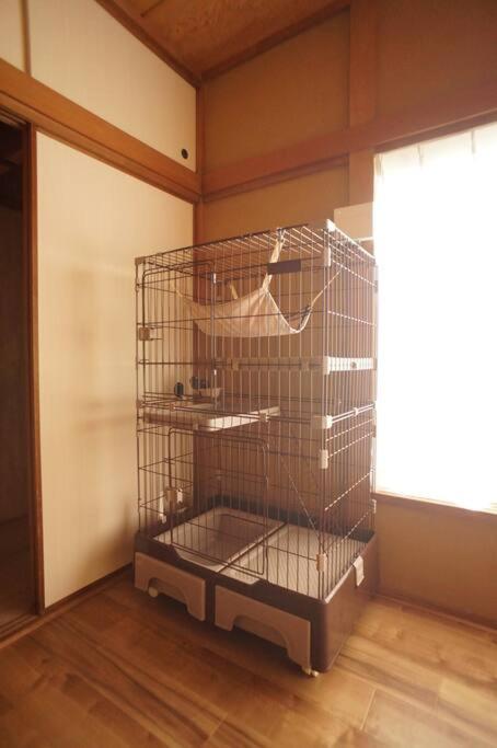 Photo 34