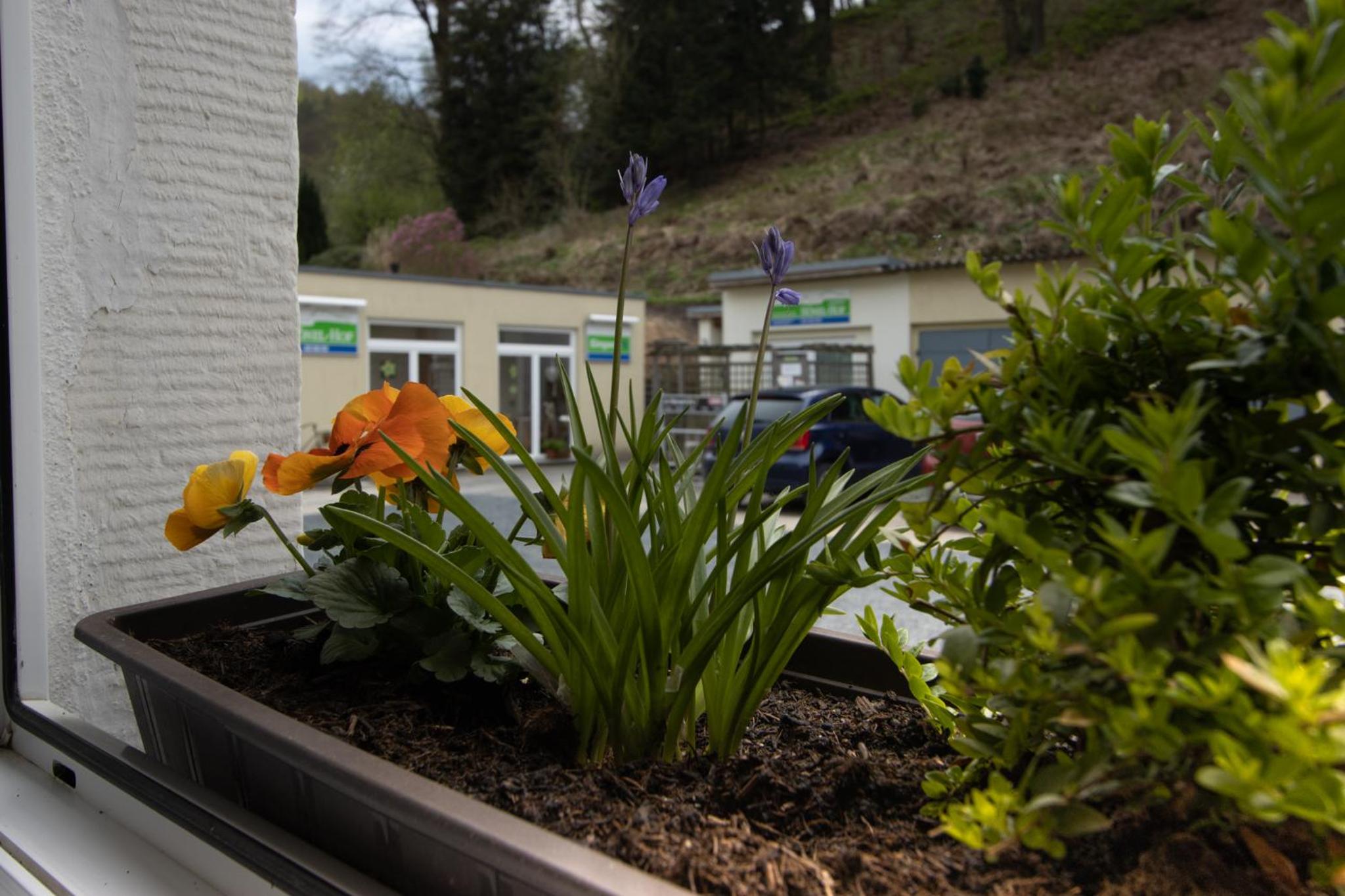 Pension Hönel-Hof Bad Schandau