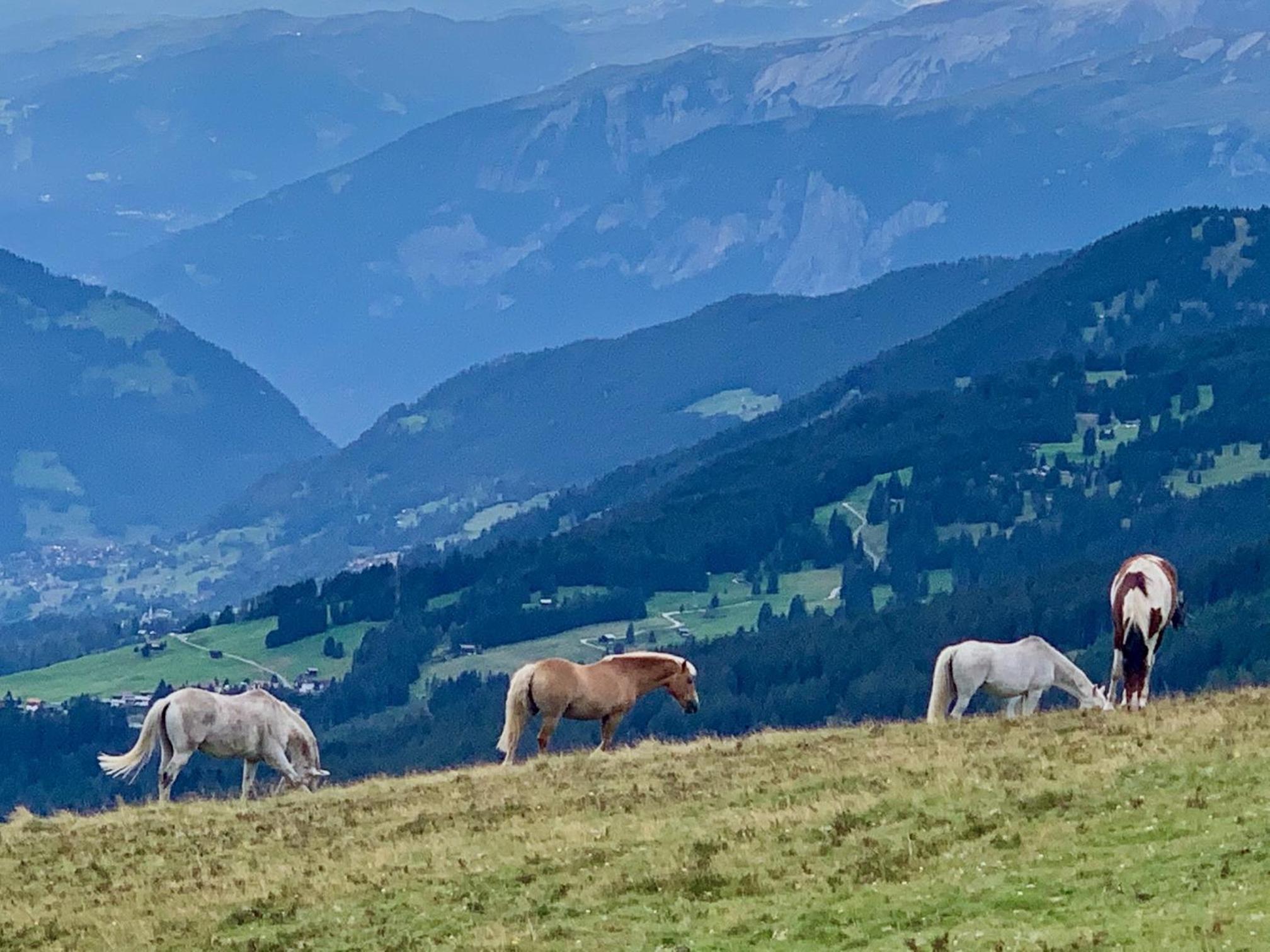 Chalet Im Wieselti