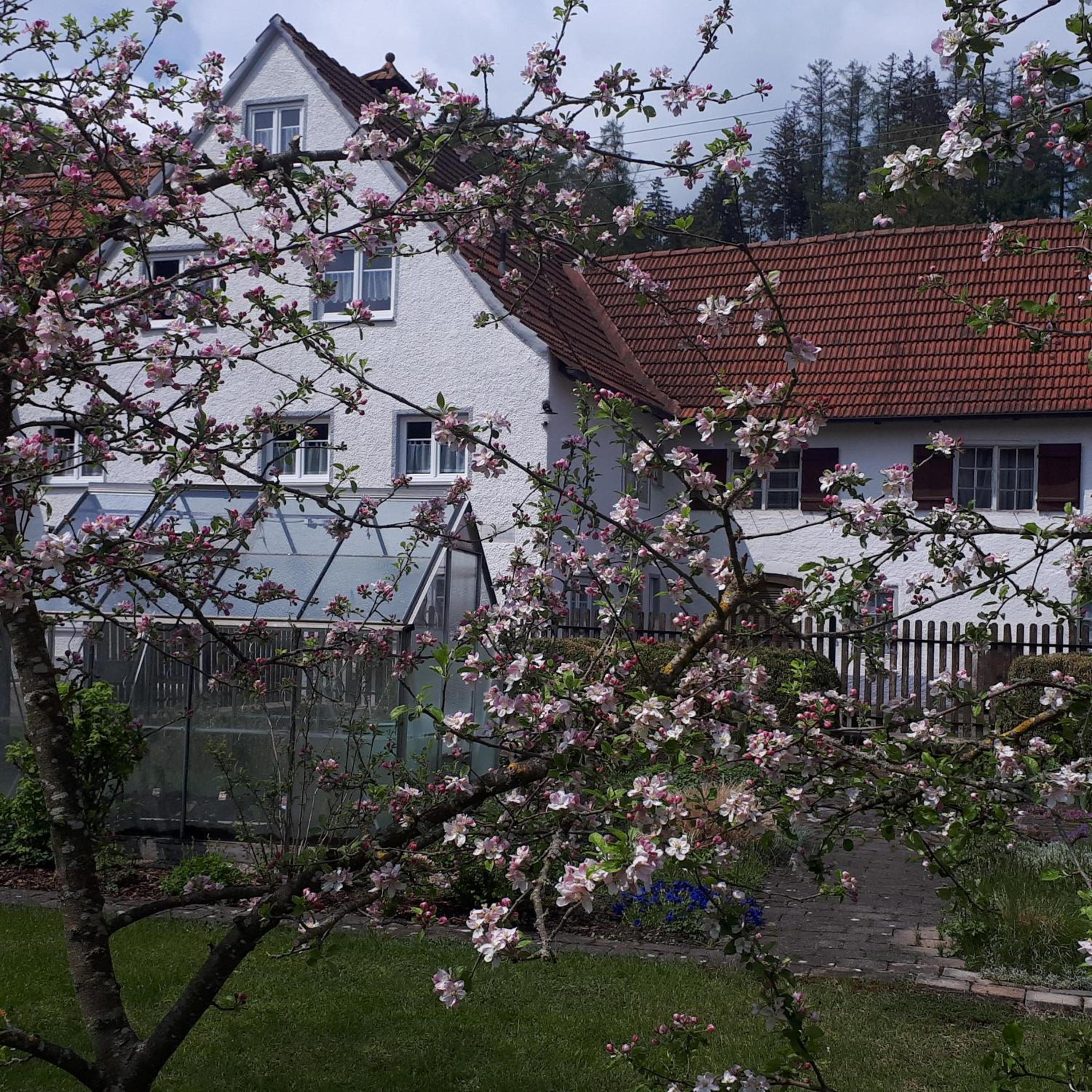 Ferienwohnung Trendelmühle Lautrach