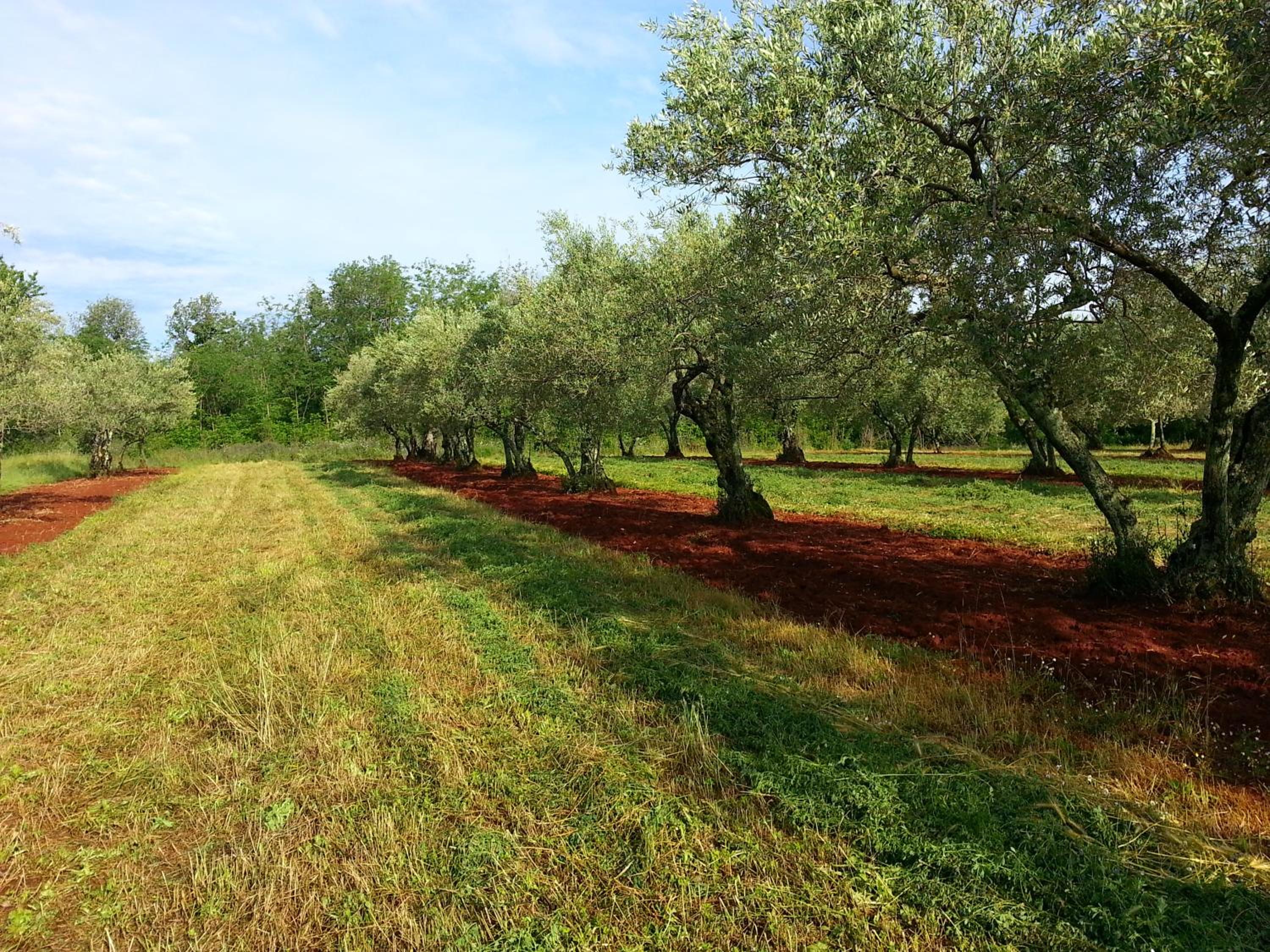 Photo 44