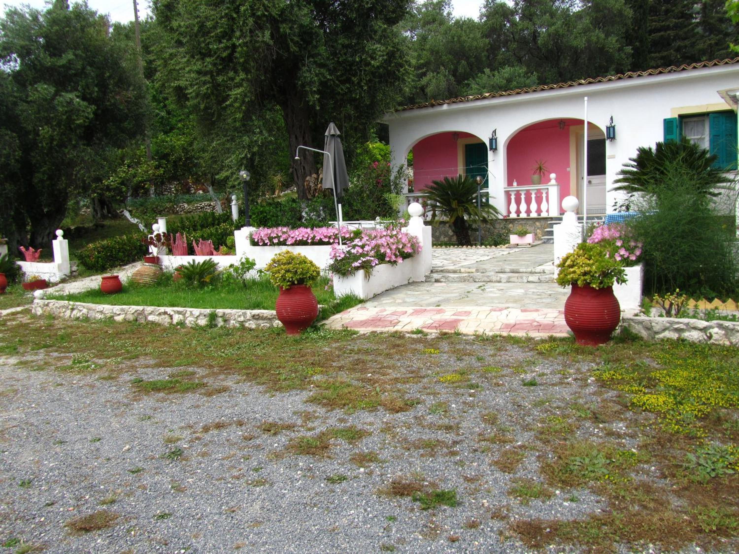 Photo 45