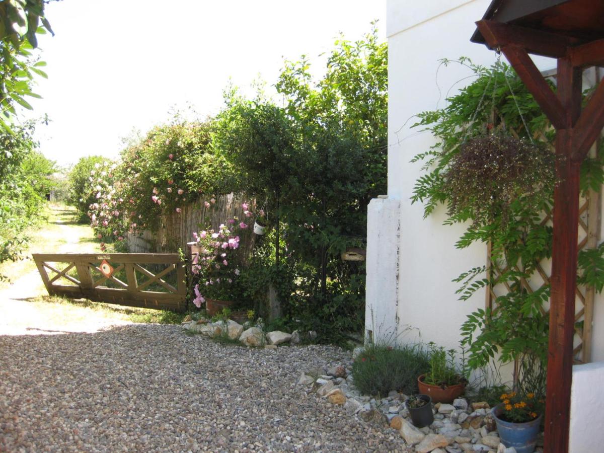 Quinta dos Church view 4