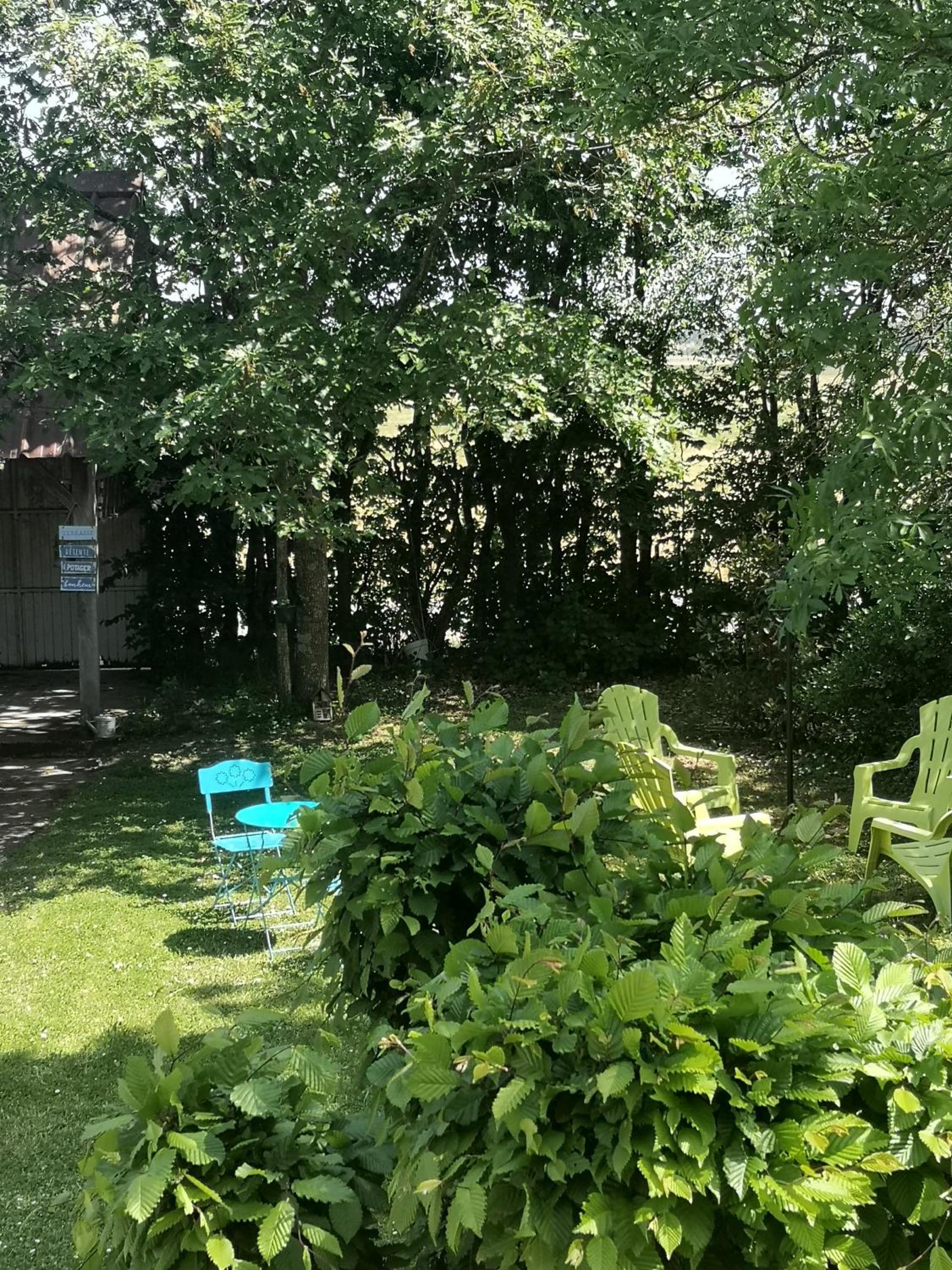 Photo 19