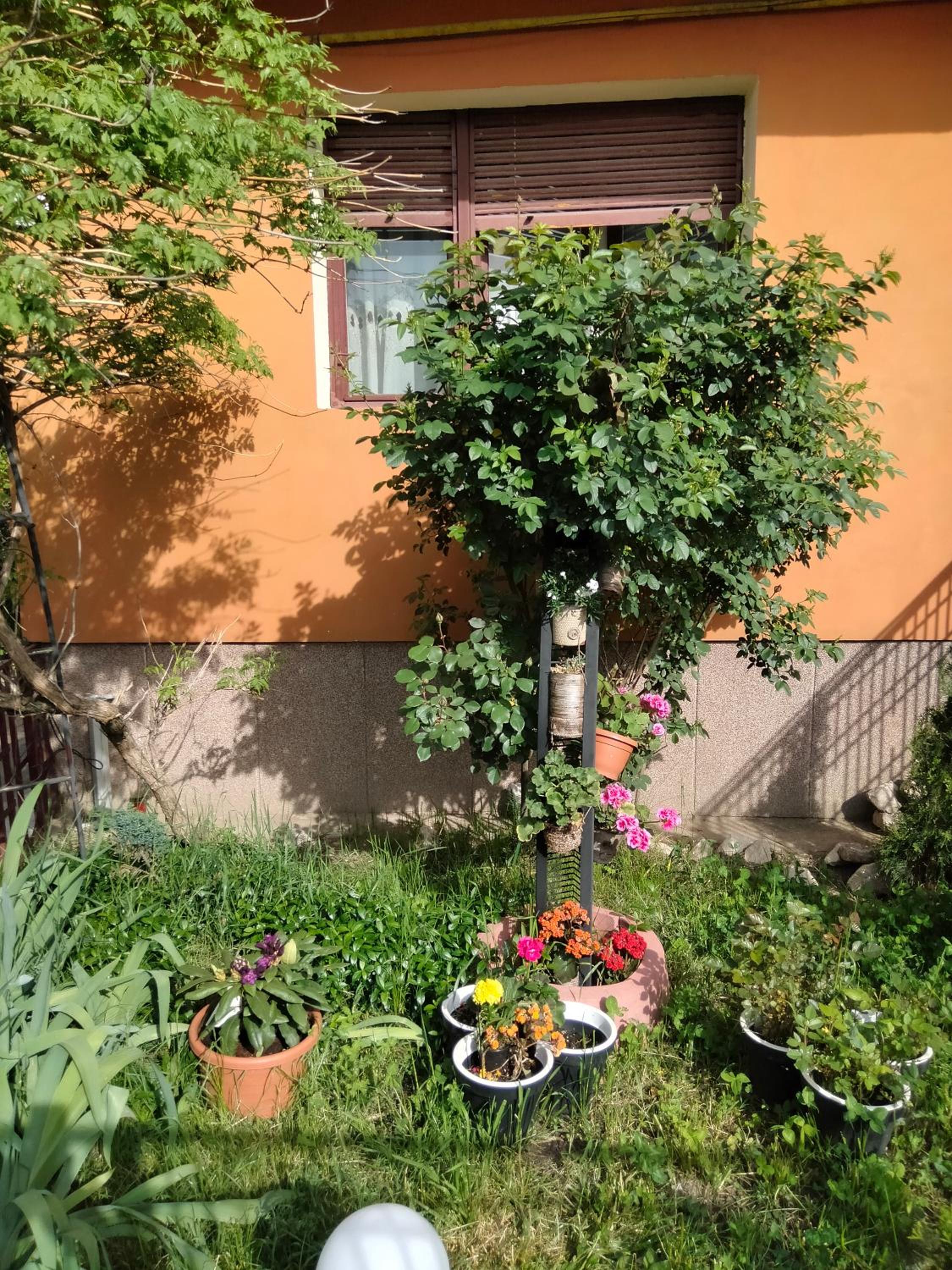 Apartament cu 2 dormitoare și terasa Valentin, Iulius Mall view 5