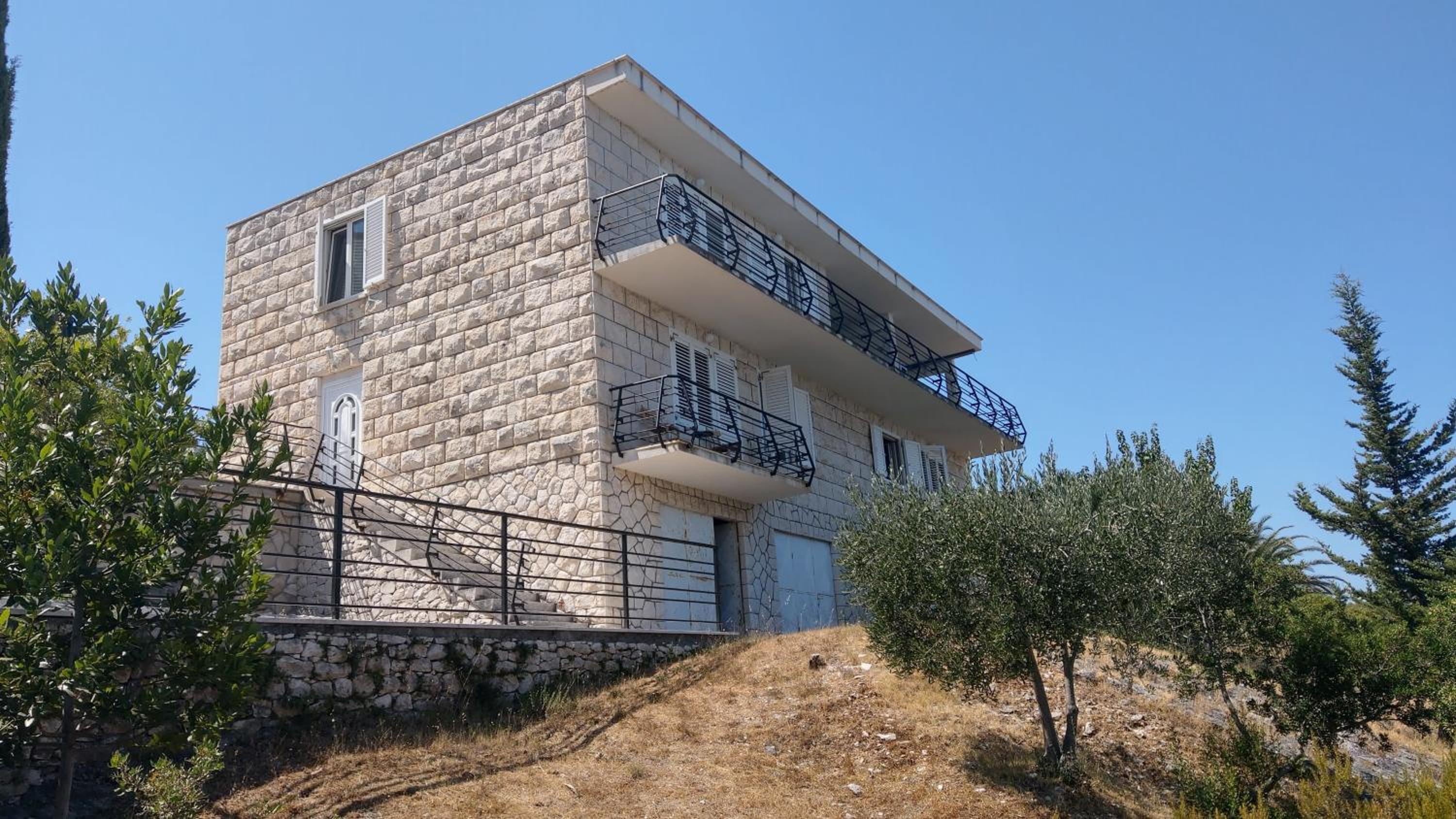 Mira view 2