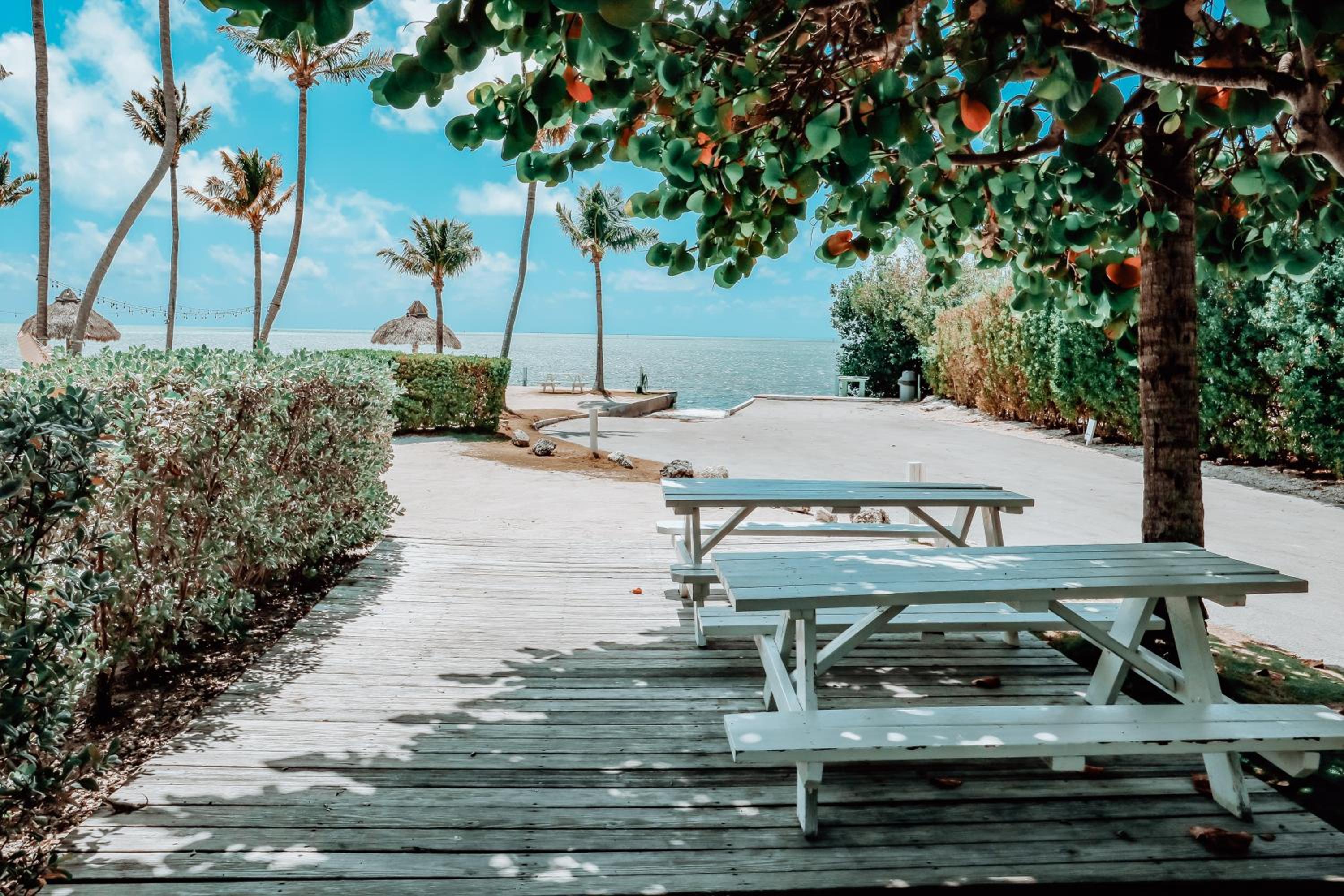 Drop Anchor Resort & Marina, Billede 79