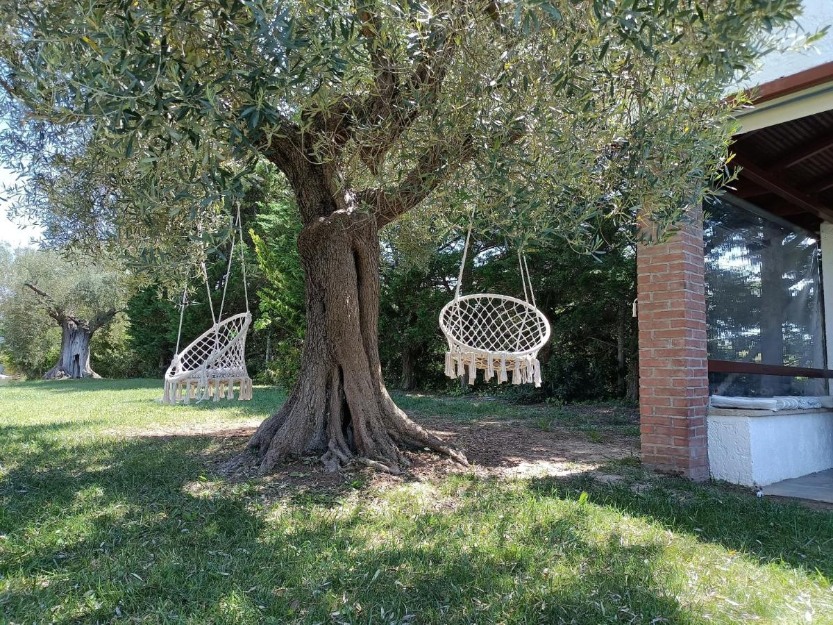 Marios Garden House