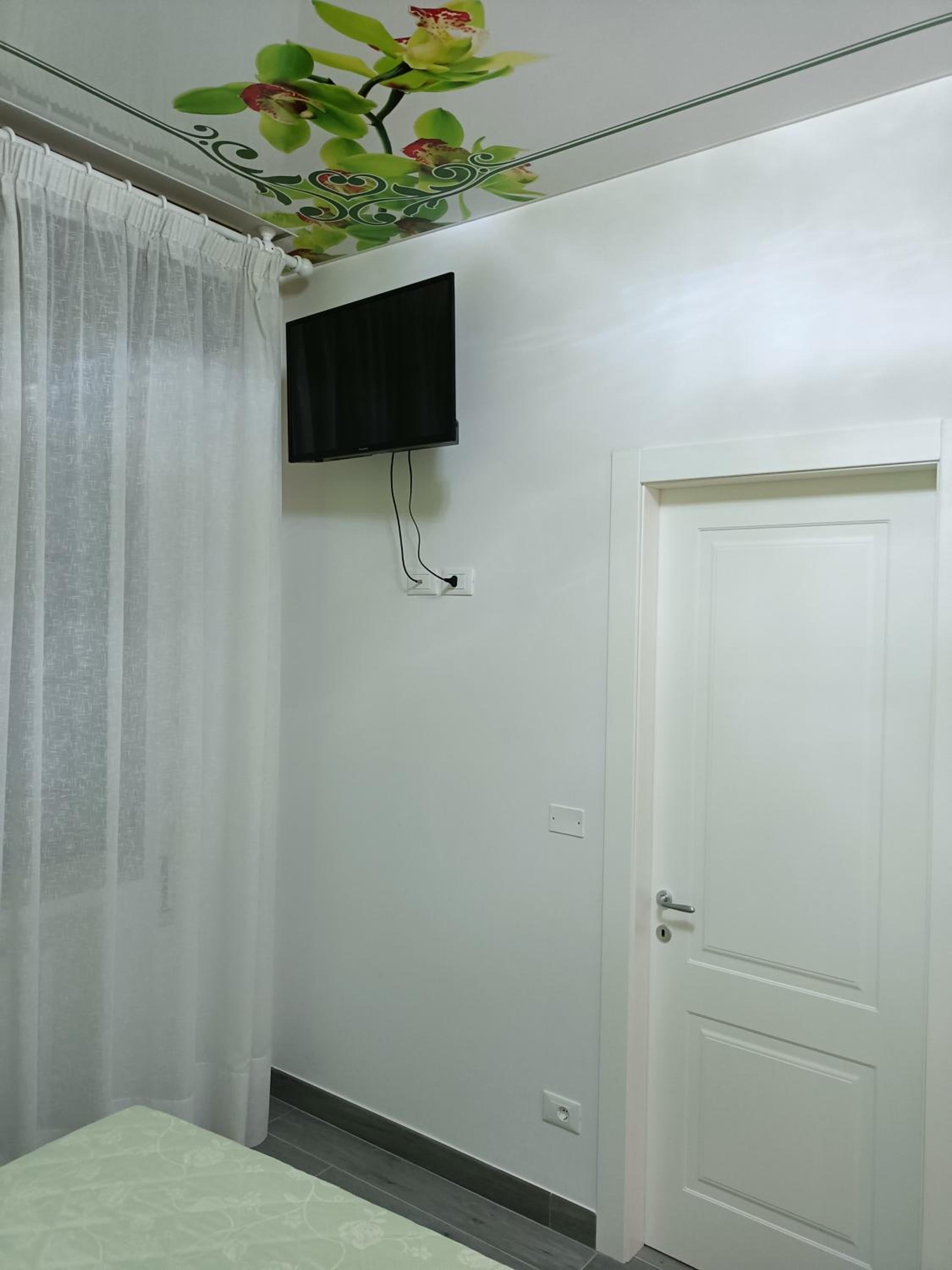 Orchidea